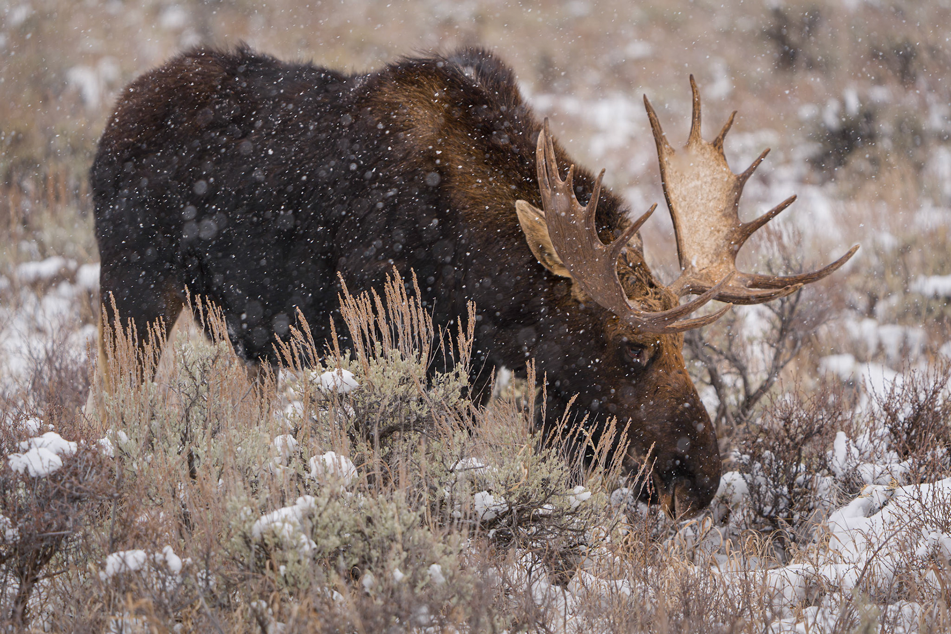 Grand Teton National Park