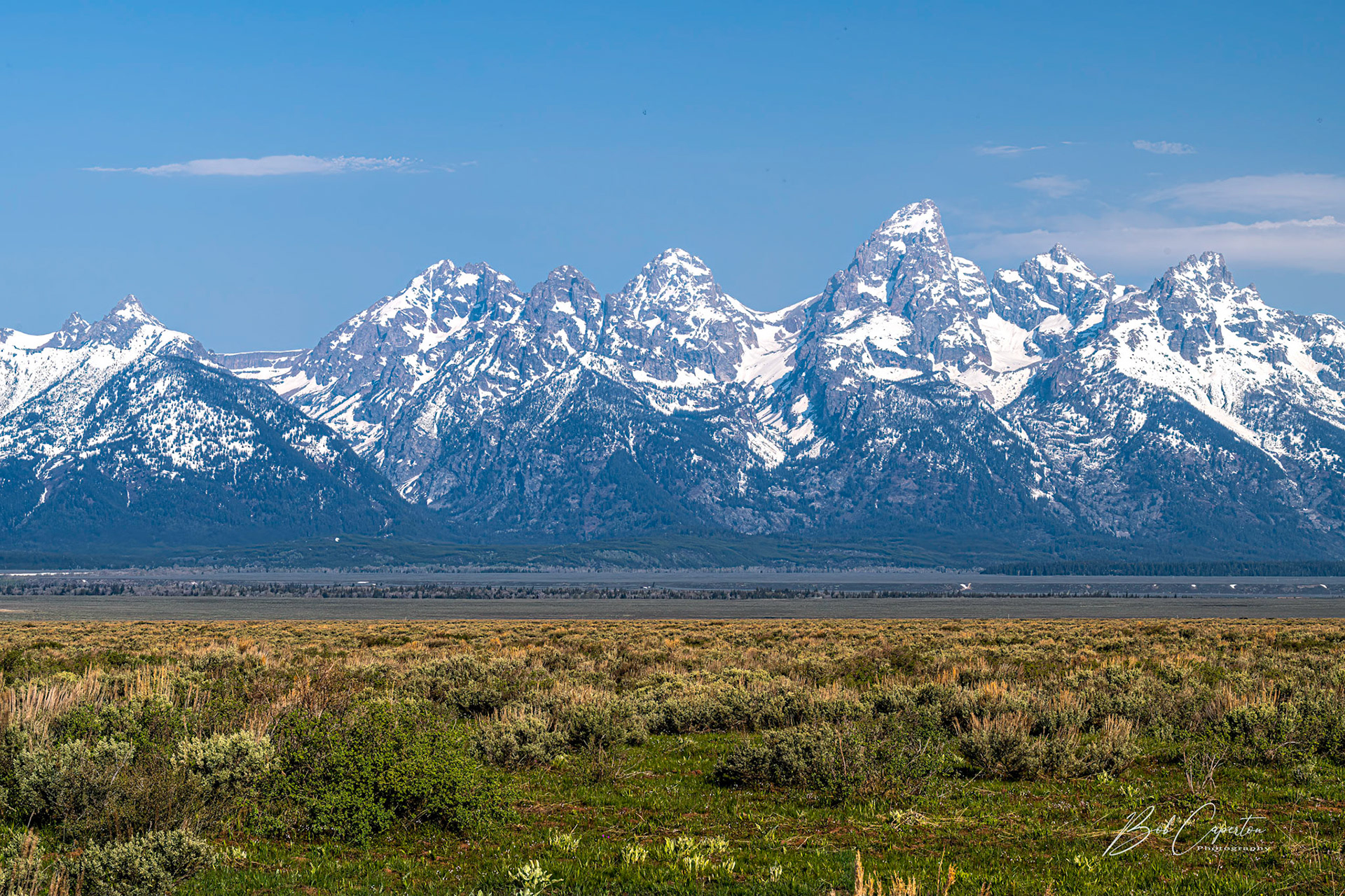 What a View - Grand Teton NP
