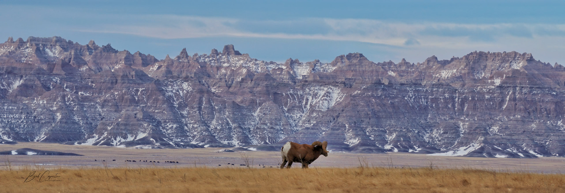 Survey the Domain - Badlands NP