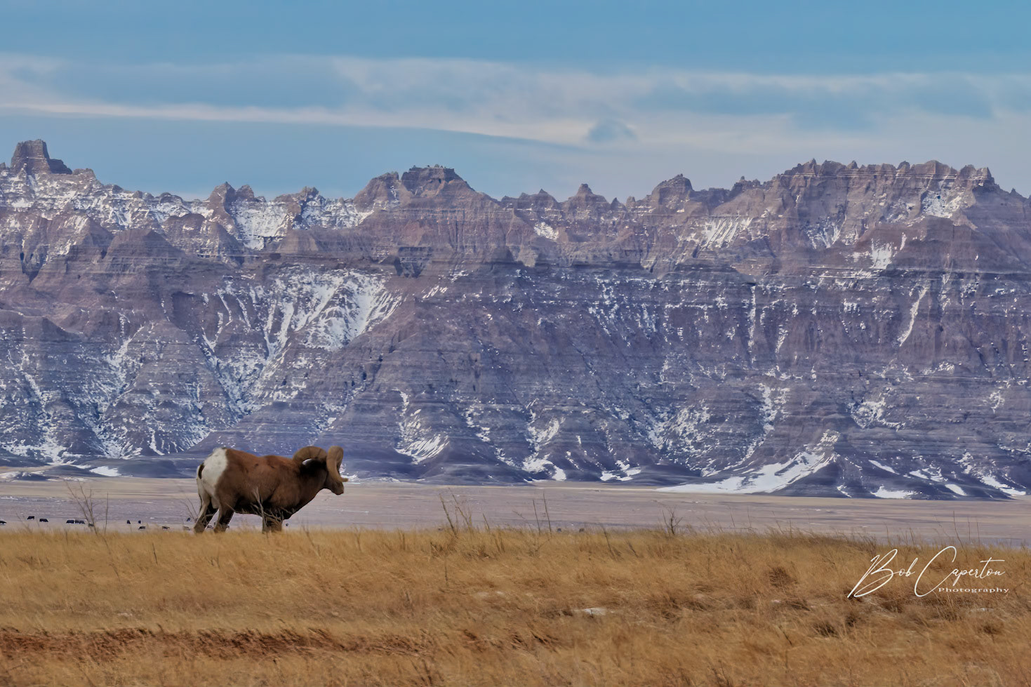 Survey the Domain - Badlands NP