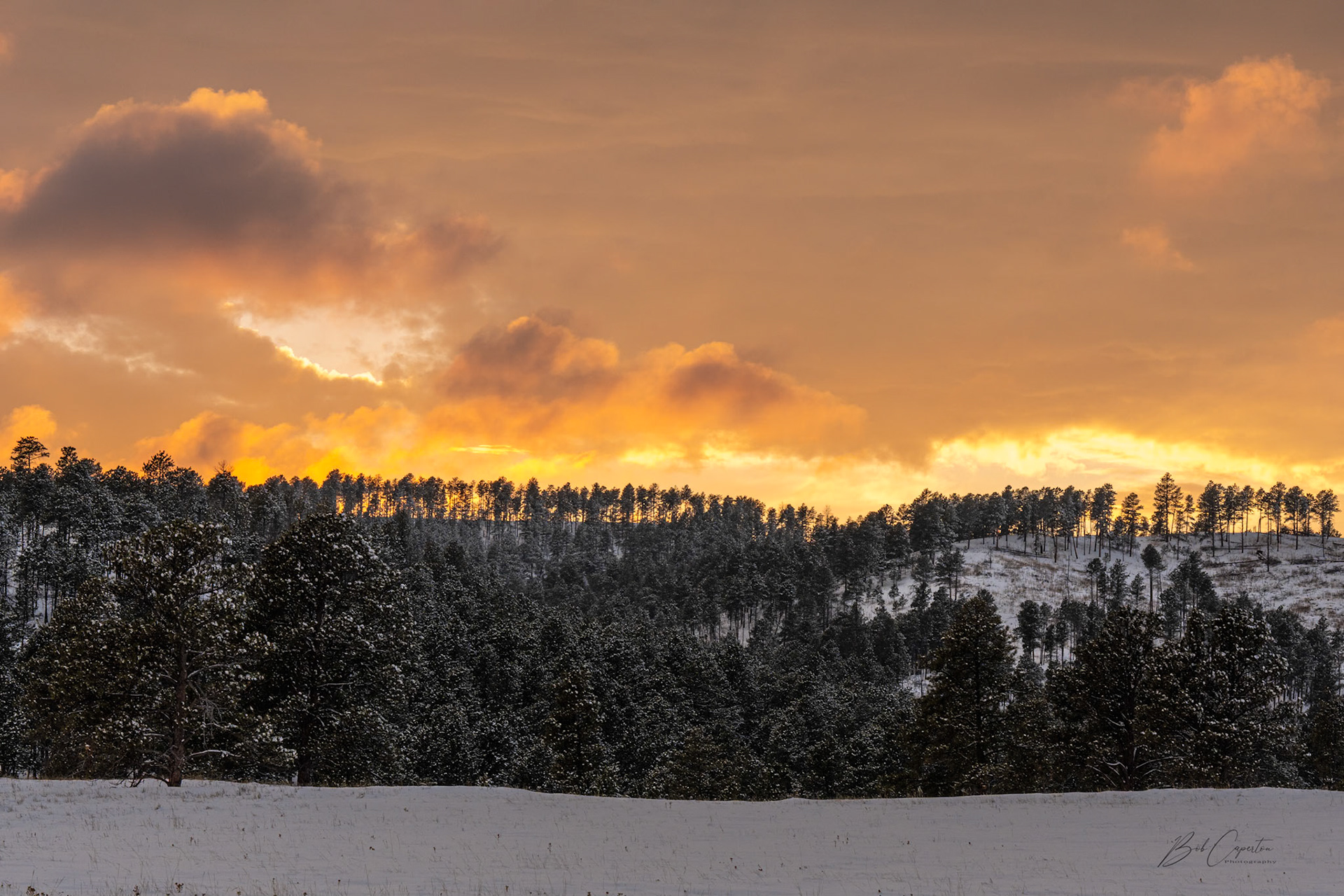 Blazing Sunset - Custer State Park