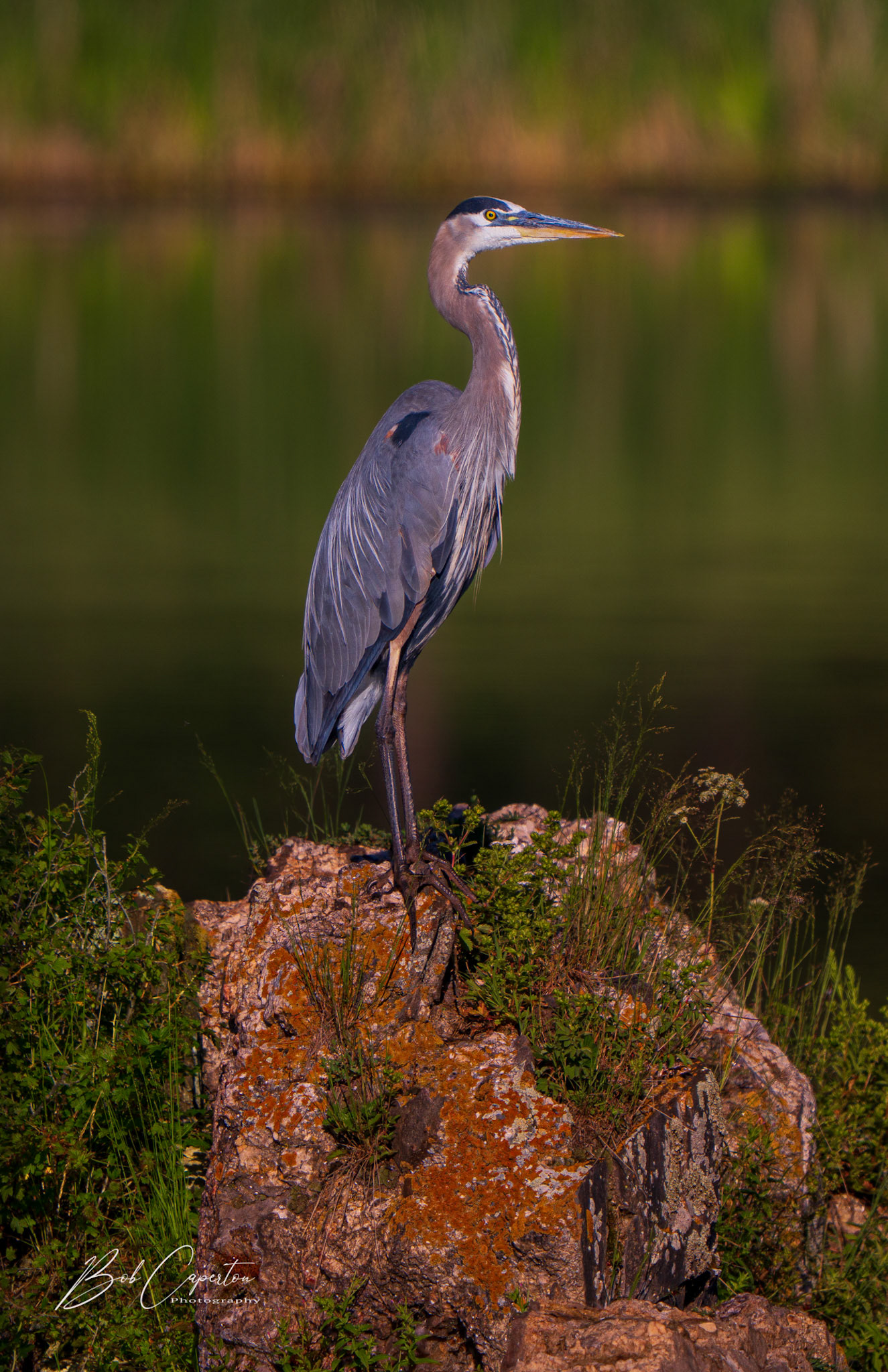 Fishing - Custer State Park, SD