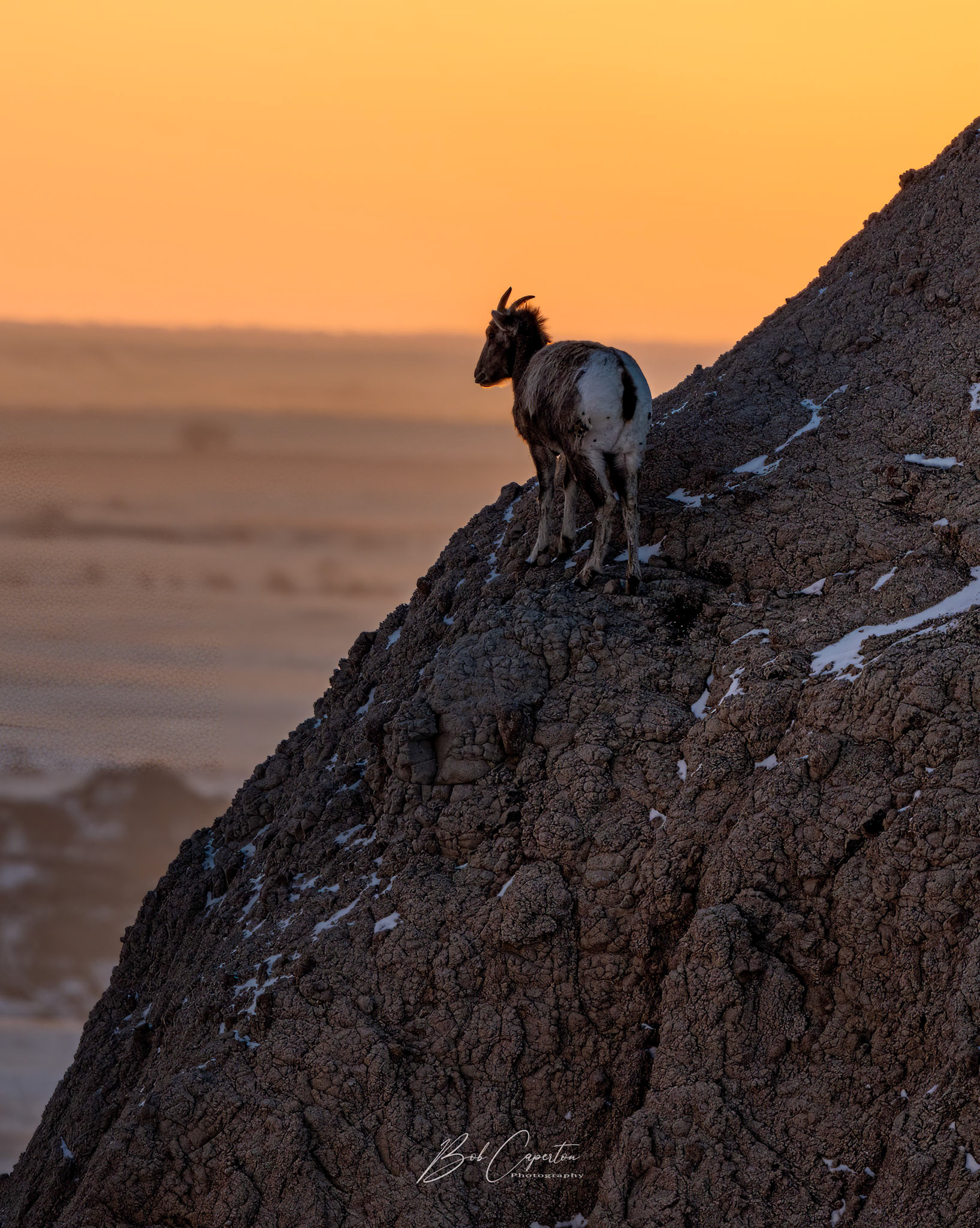Badlands Sentry - Badlands NP