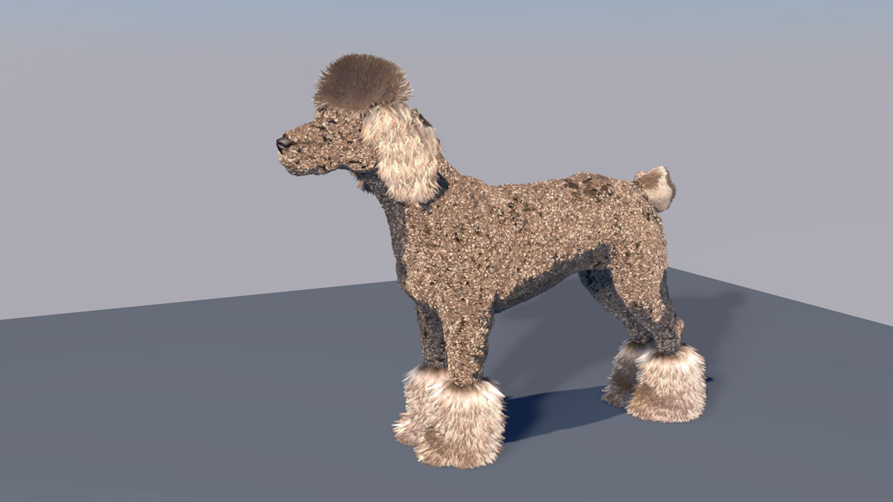 dog hair (2020)