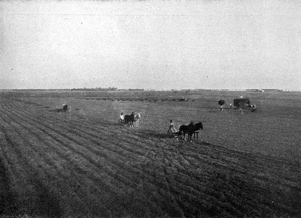 Campo argentino. Anno 1910.