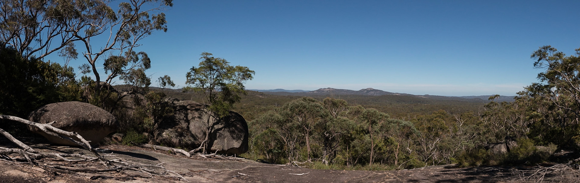 Bald Rock National Park