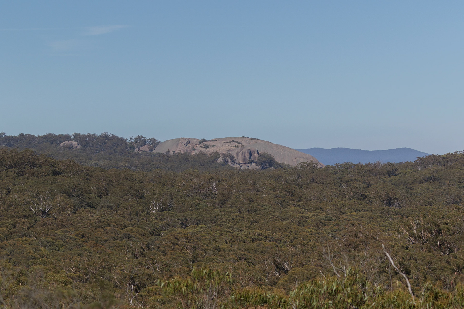 Bald Rock National Park