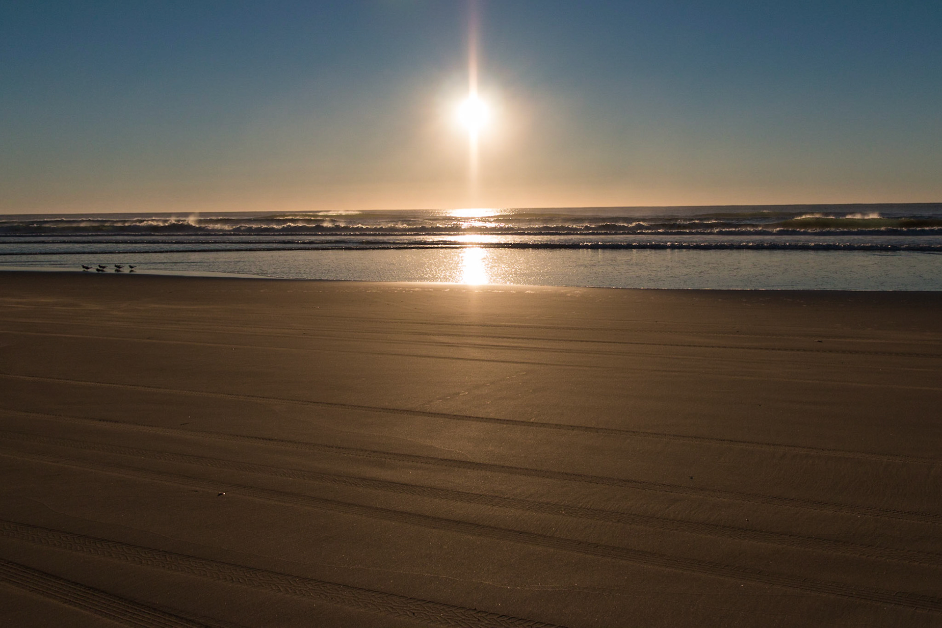 Beach sunrise, Teewah