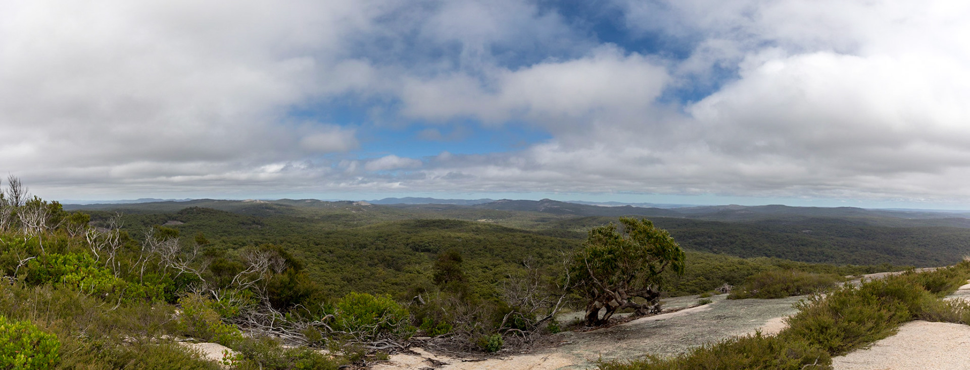 View of Girraween from Bald Rock