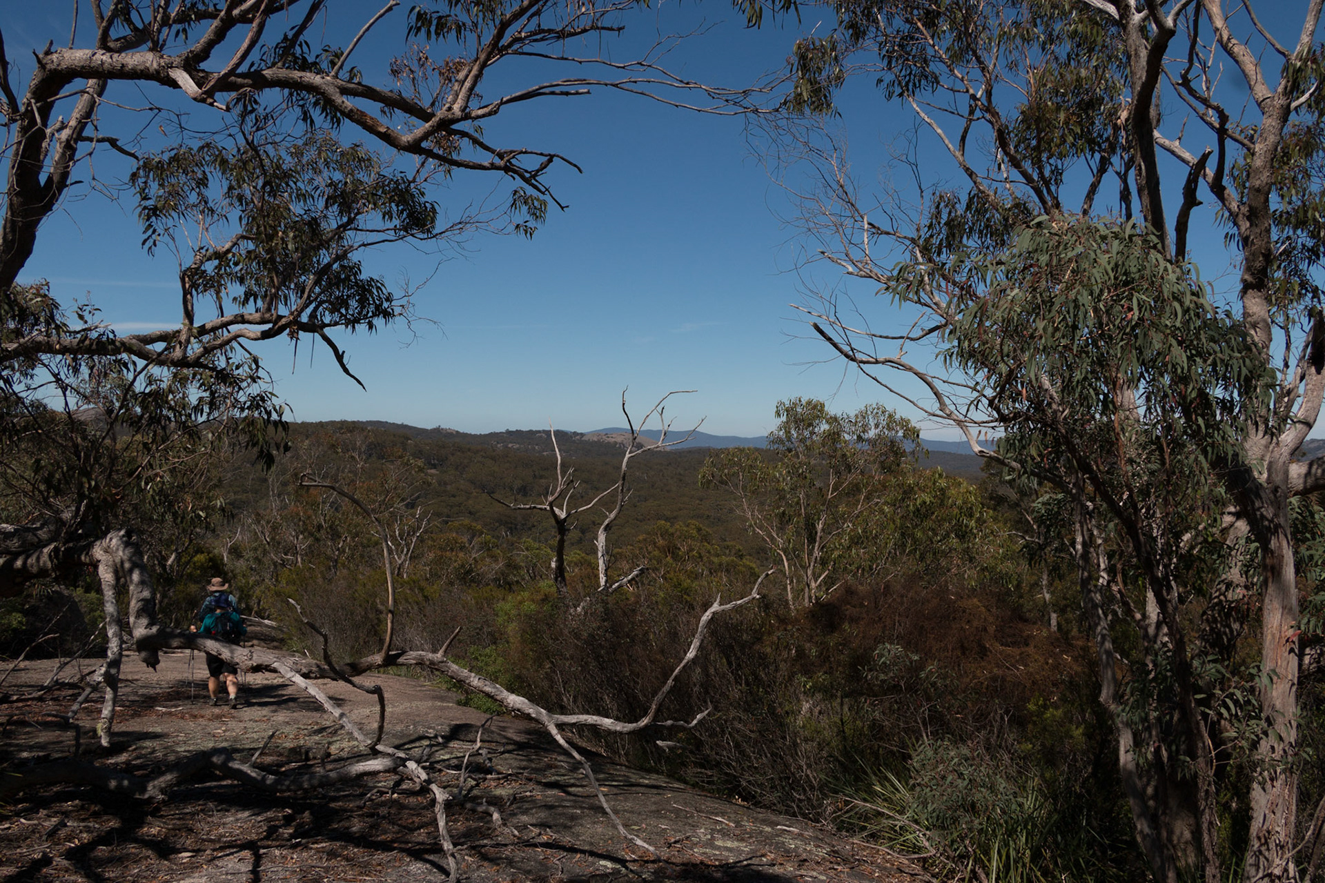 Bald Rock National Park