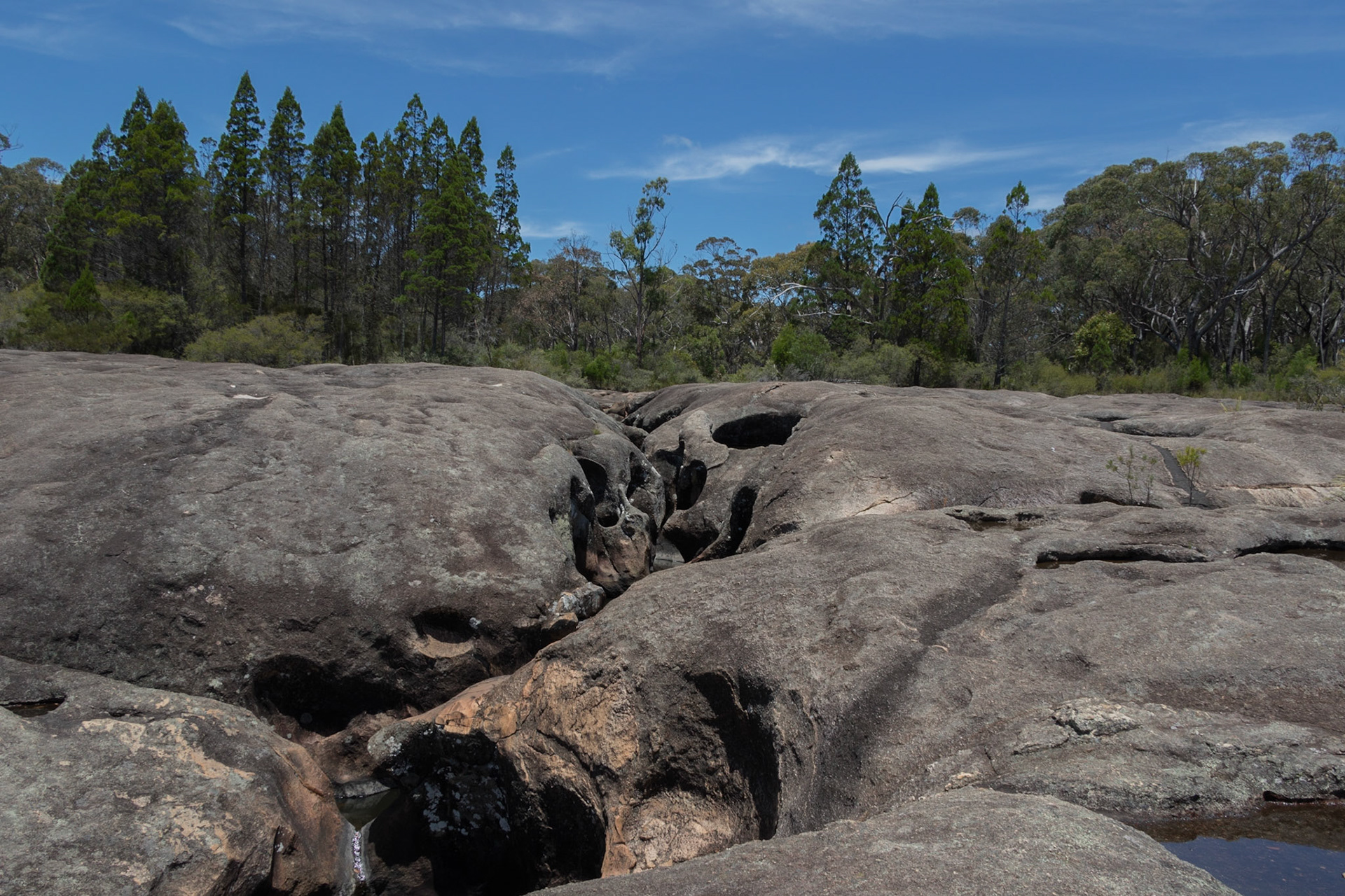 Underground Creek, Girraween