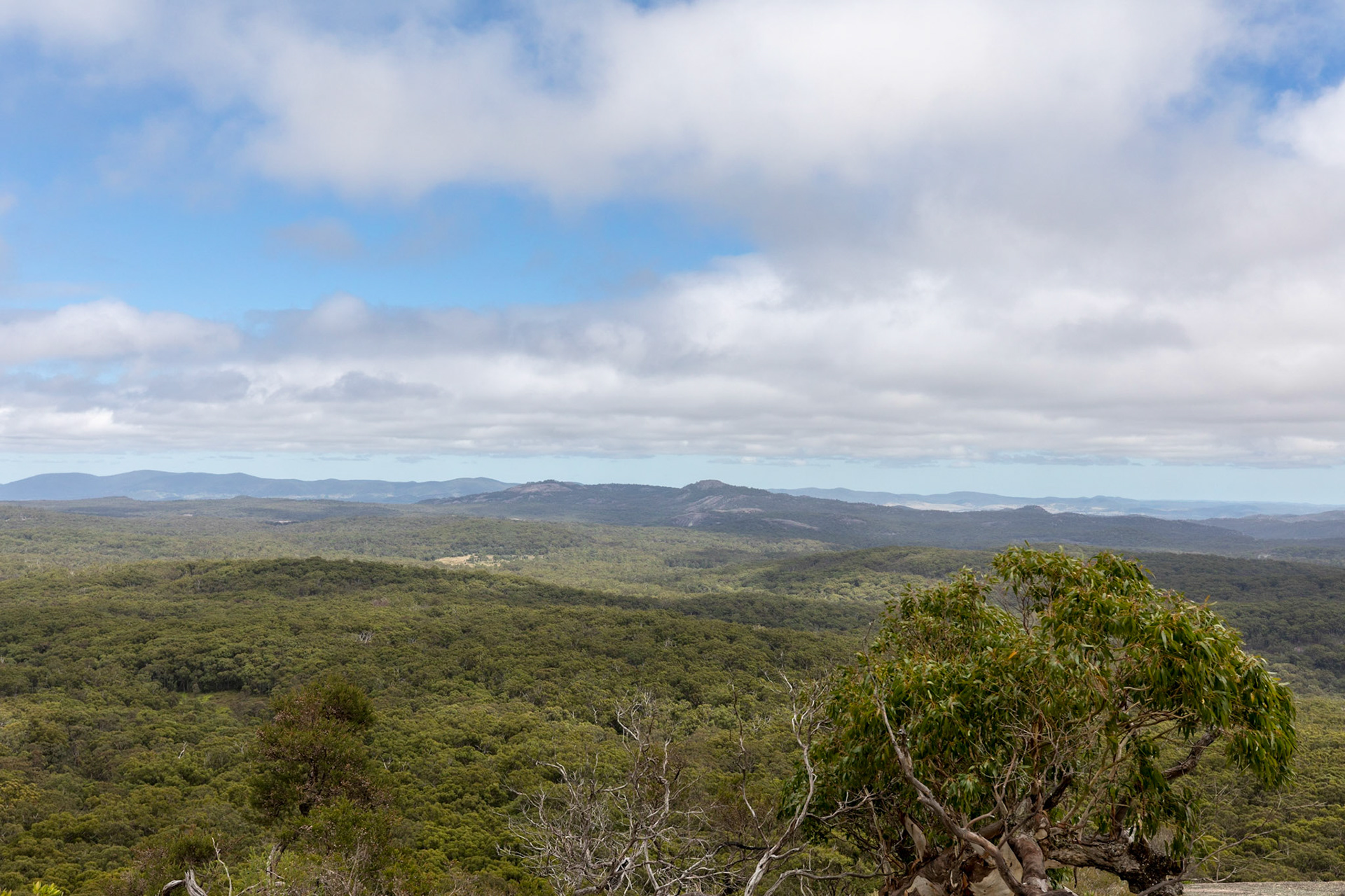 View of Girraween from Bald Rock