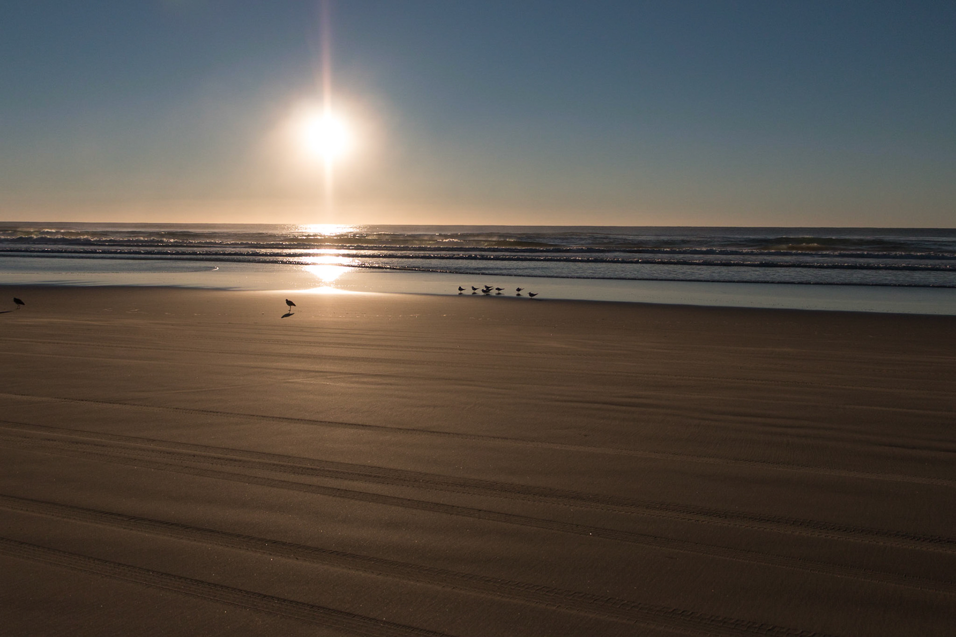 Beach sunrise, Teewah