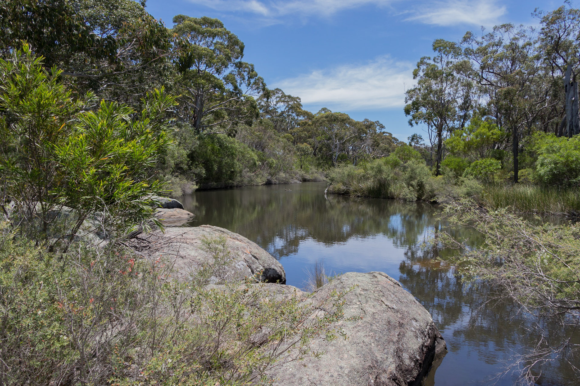 Bald Rock Creek, Girraween