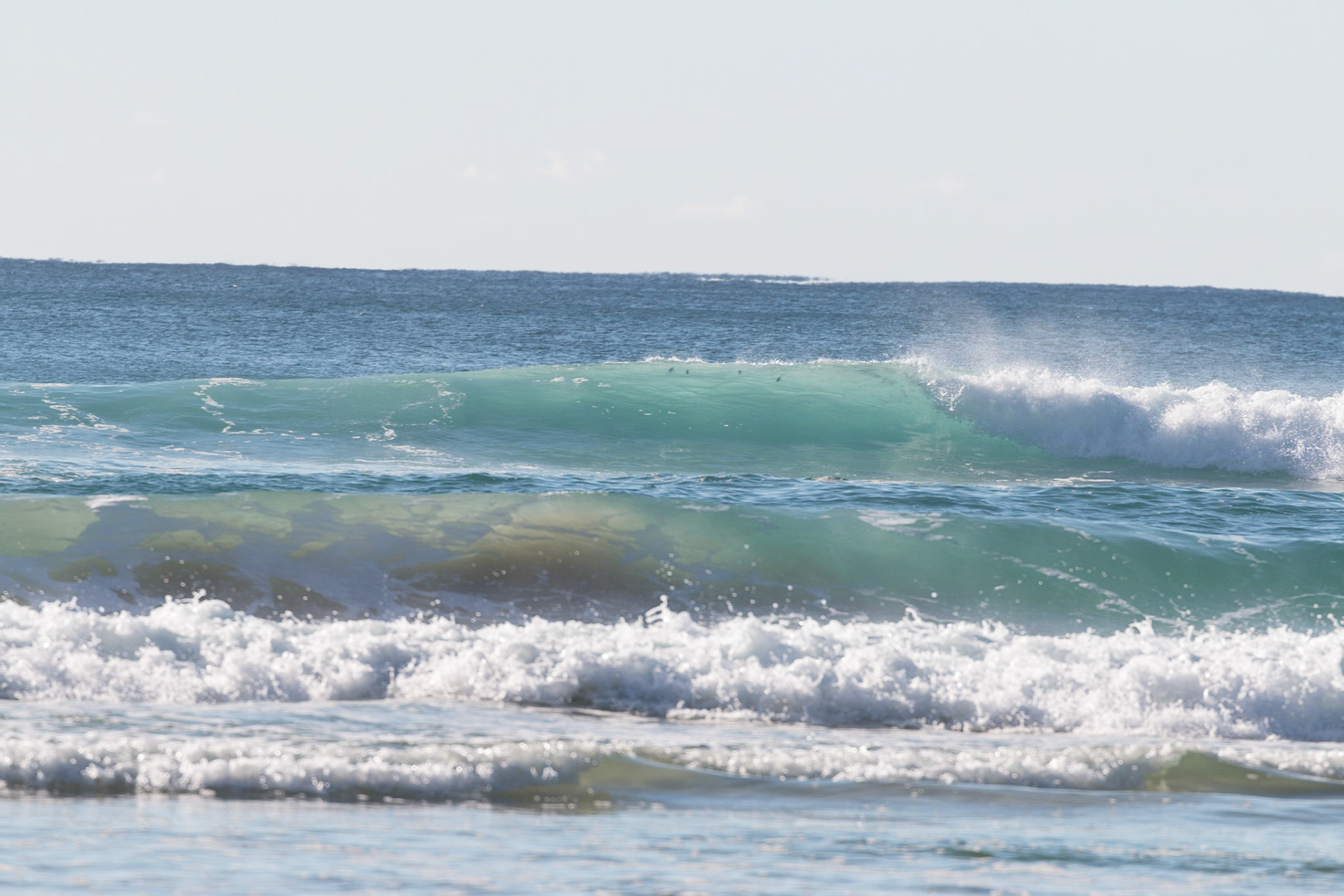 Fish in the waves, Teewah