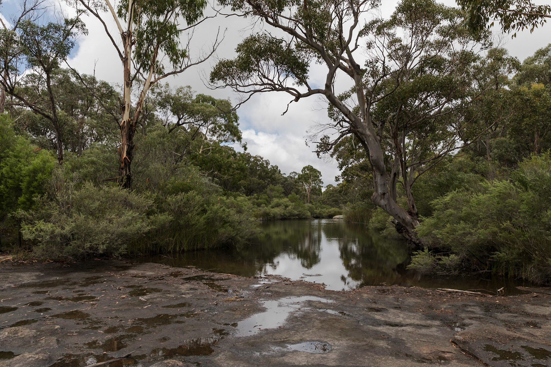 Bald Rock Creek, Girraween National Park