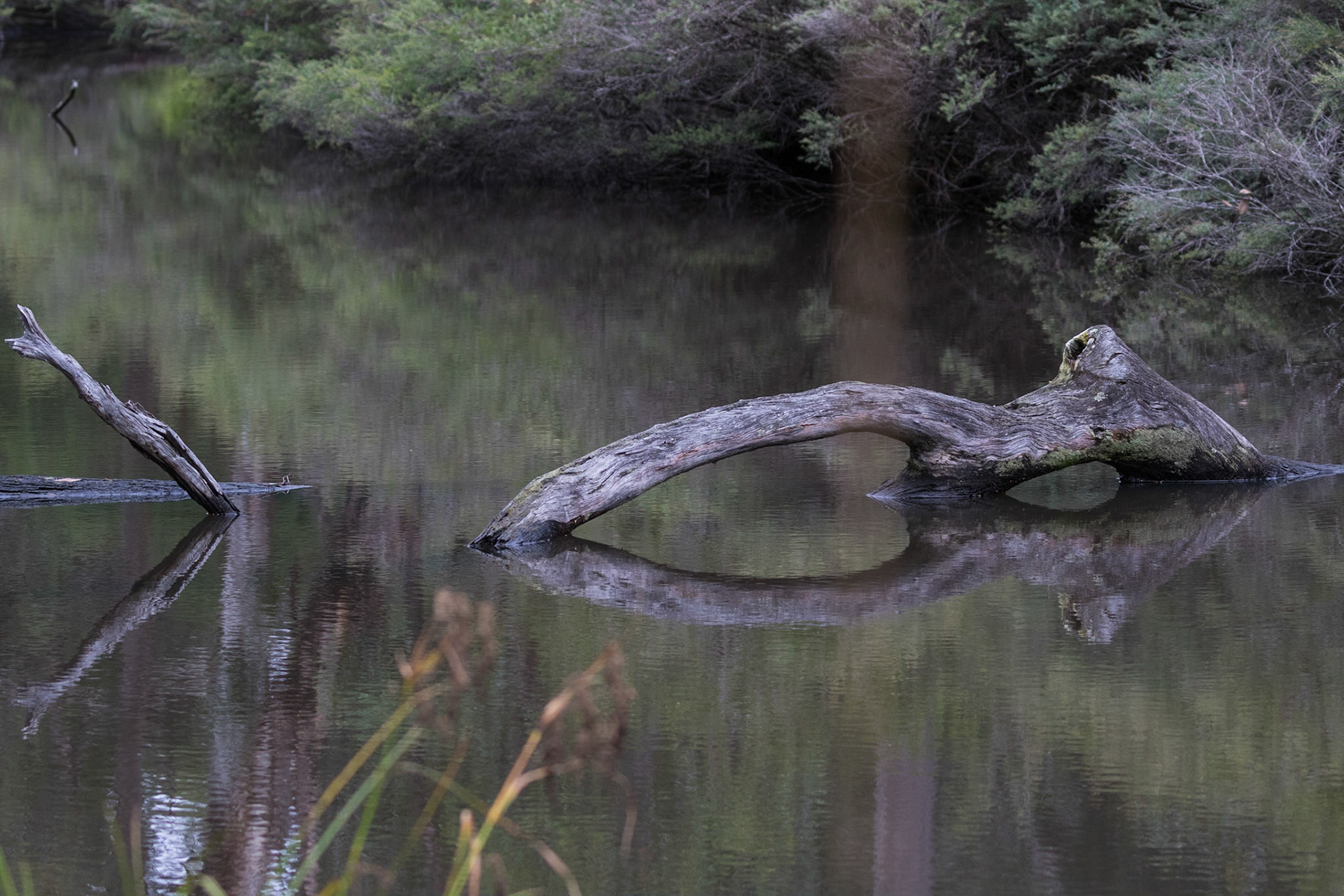 Waterhole, Racecourse Creek, Girraween National Park