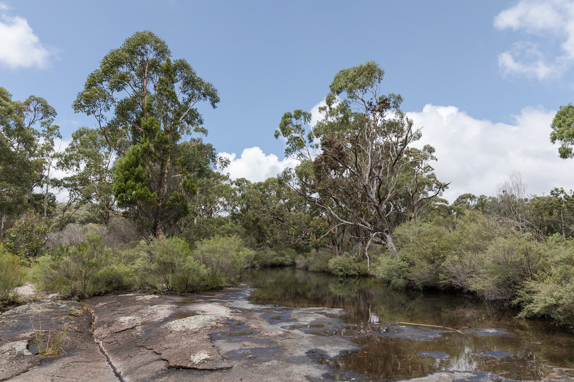 Bald Rock Creek, Girraween National Park