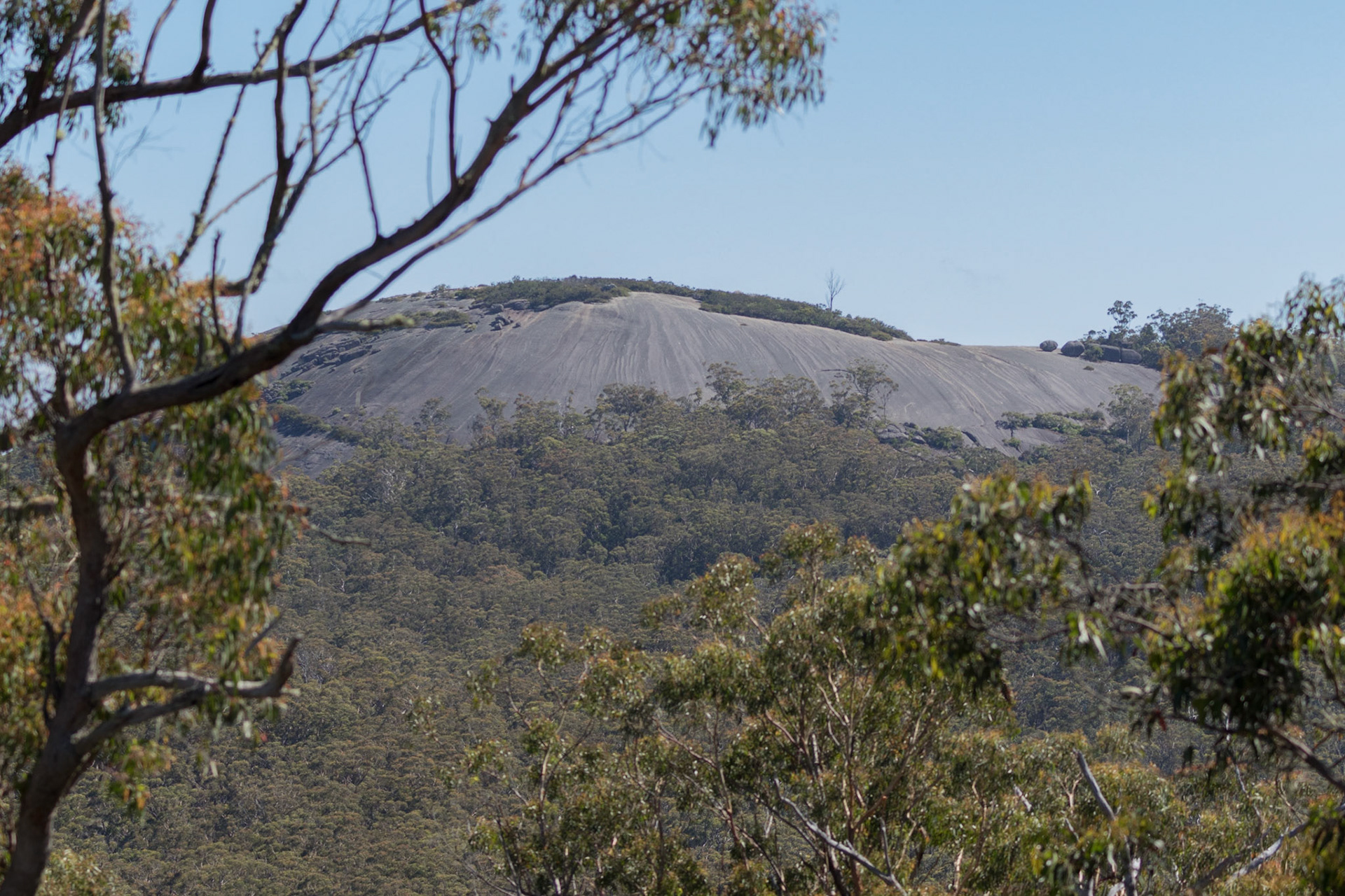Bald Rock