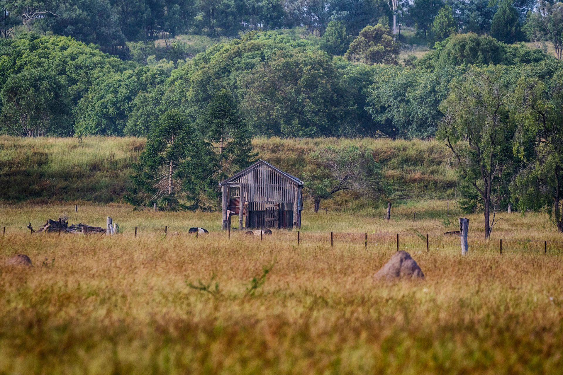 Old shed, Toogoolawah