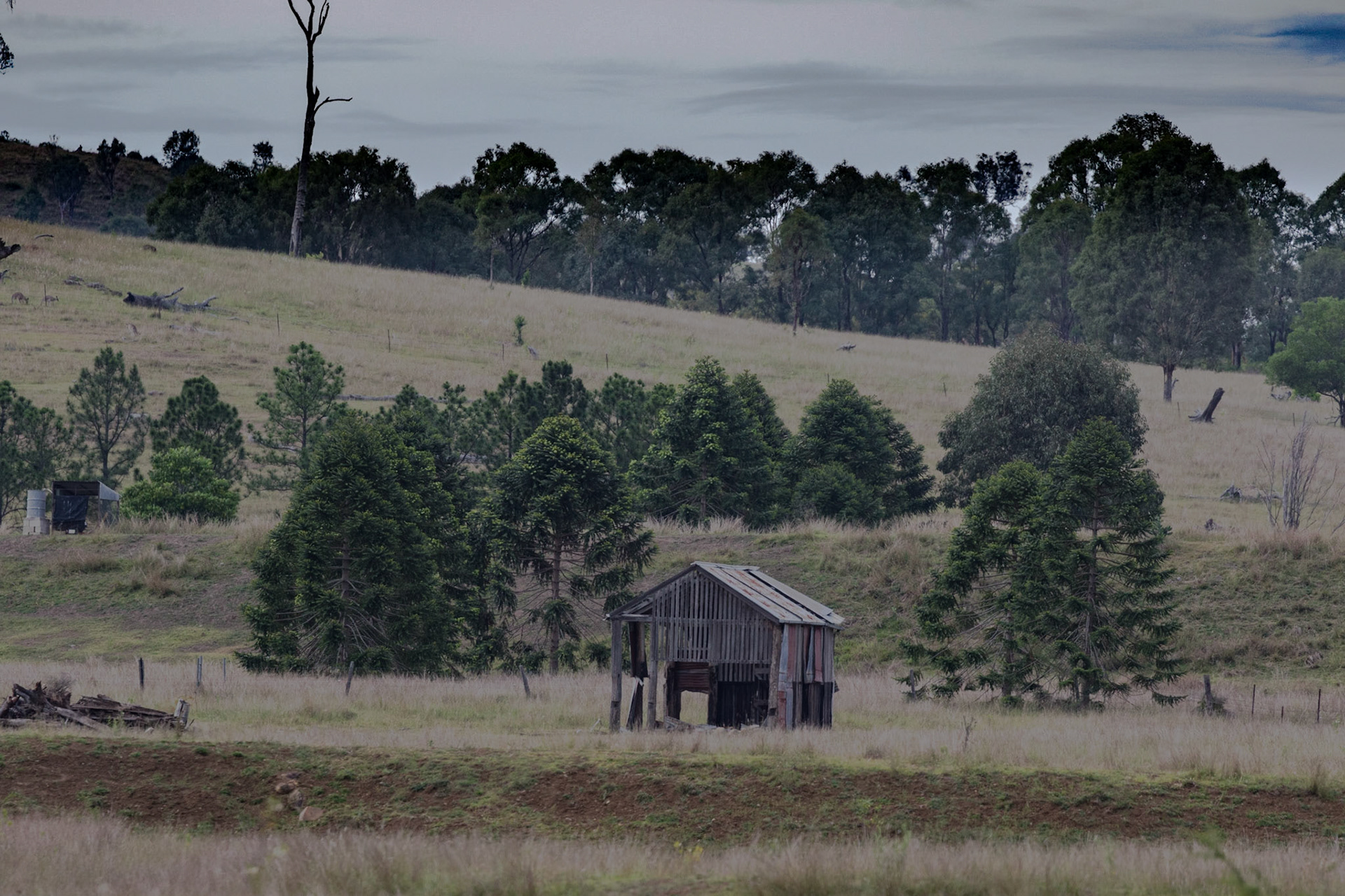 Ols shed, Toogoolawah