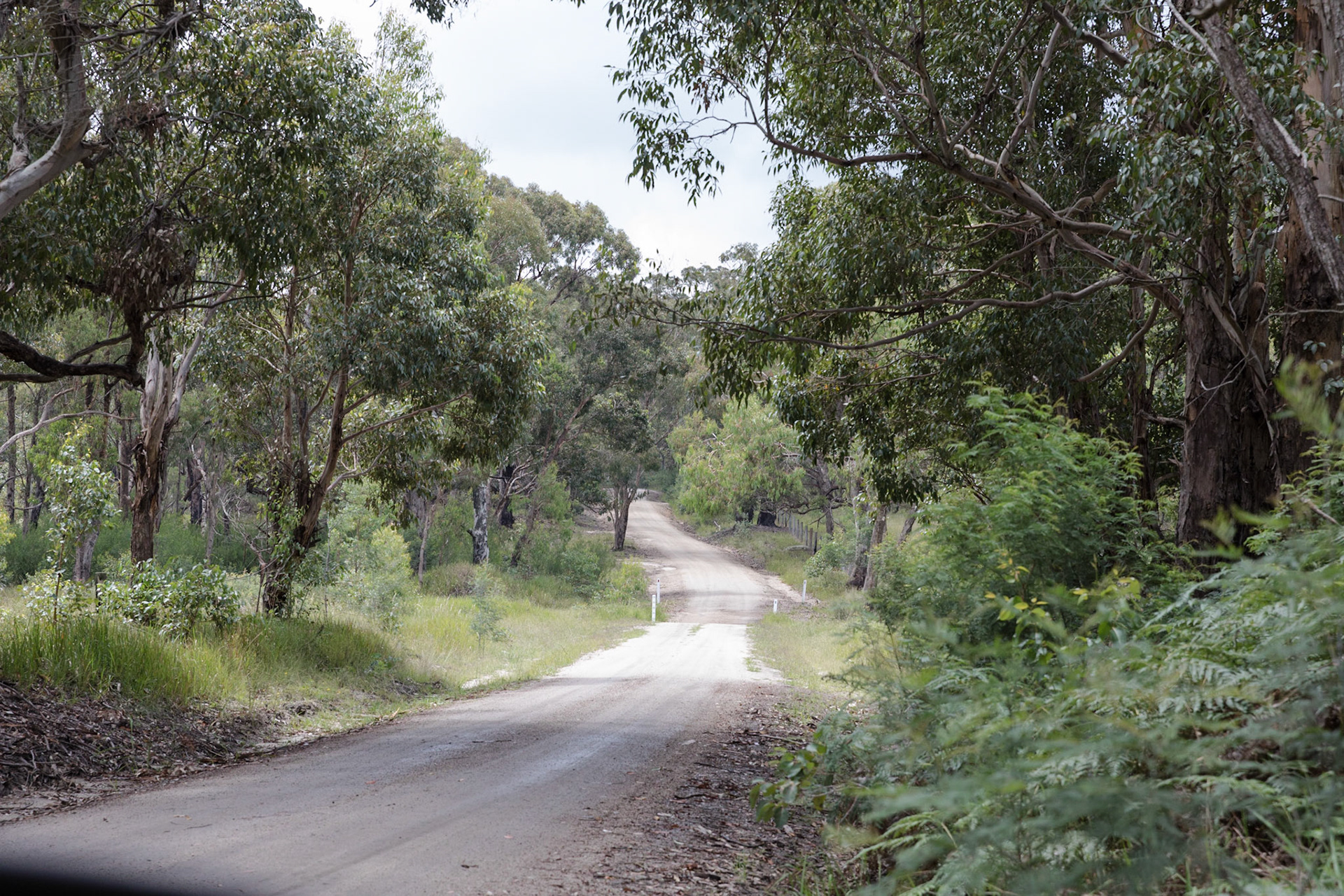 Pyramids Road, Girraween