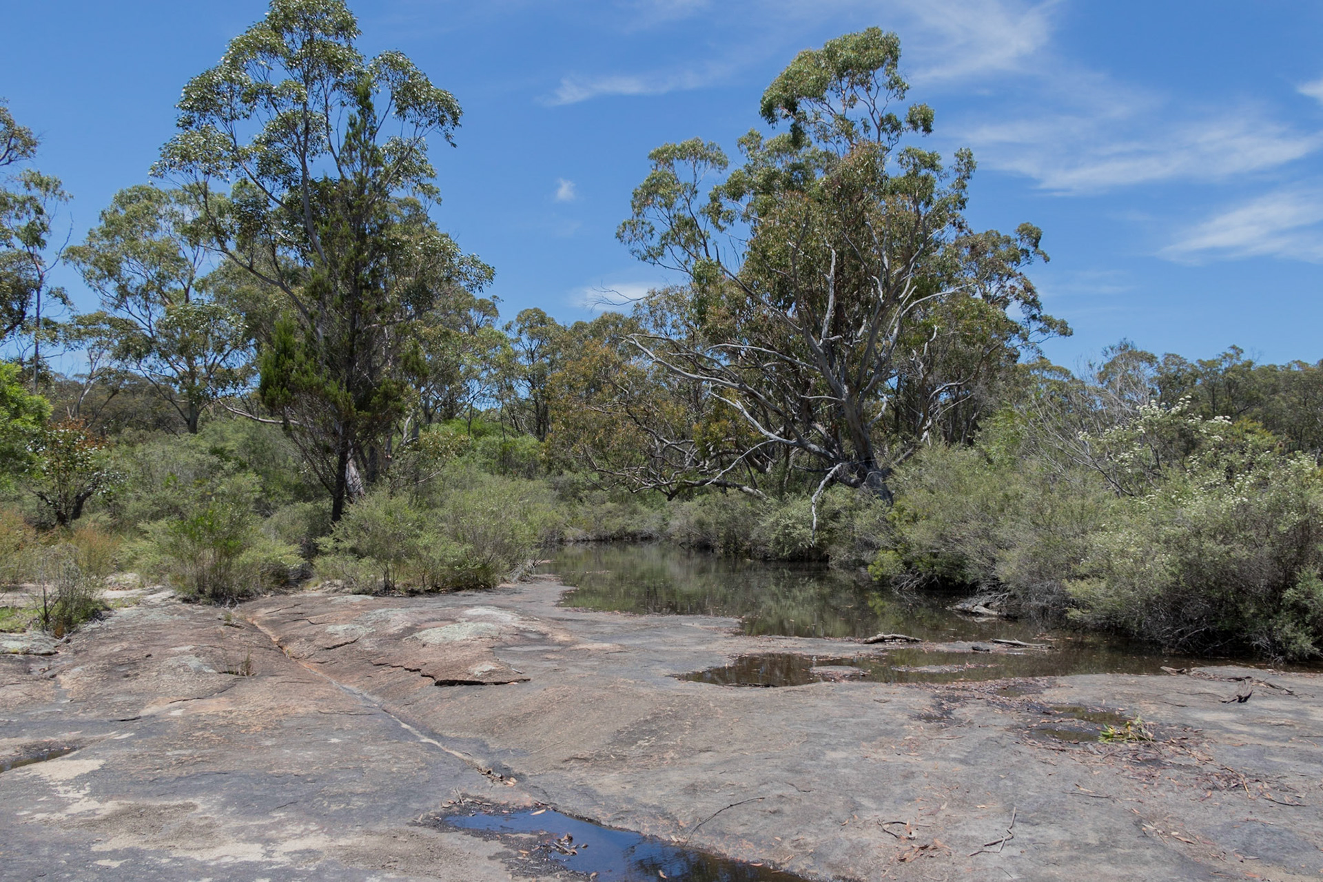Bald Rock Creek, Girraween