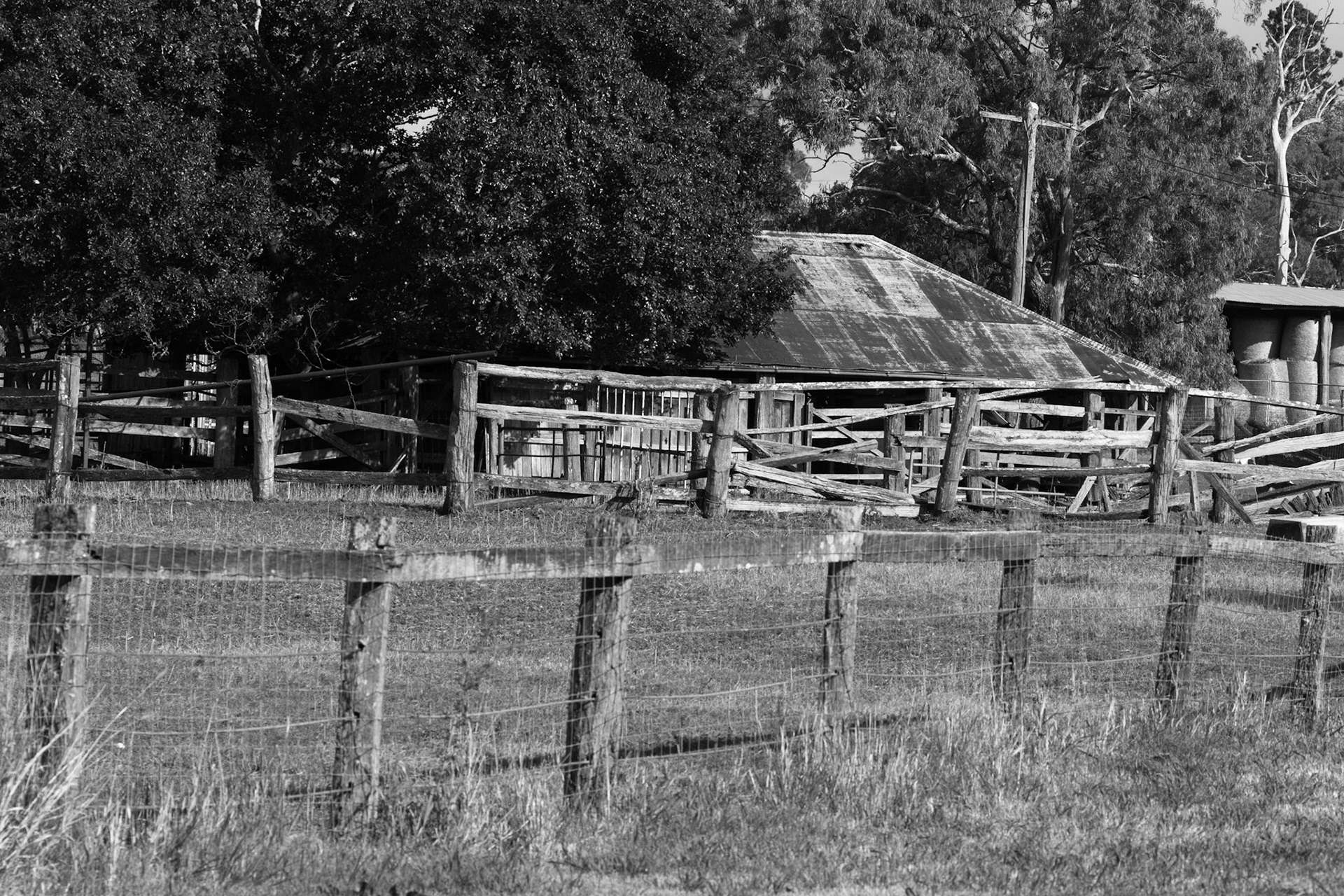 Old farm shed, Toogoolawah