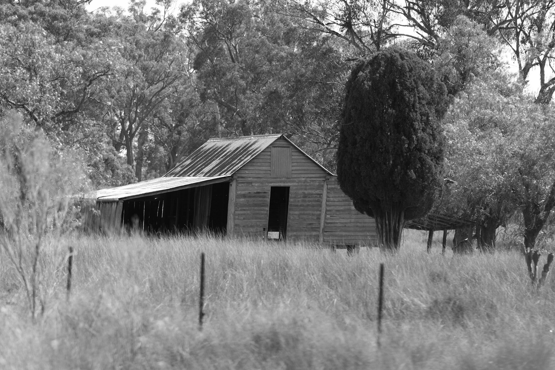 Abandoned shed, Pratten