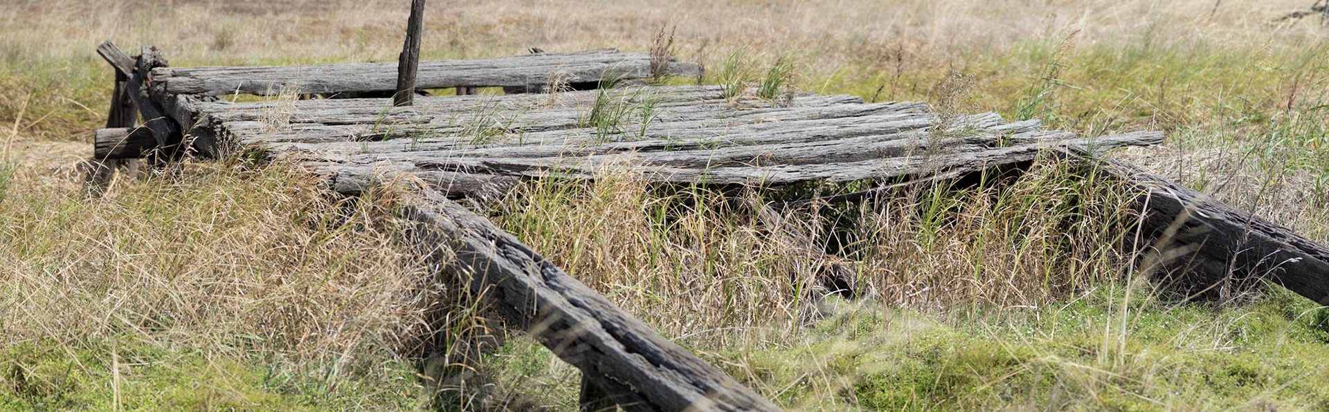 Old bridge, North Branch