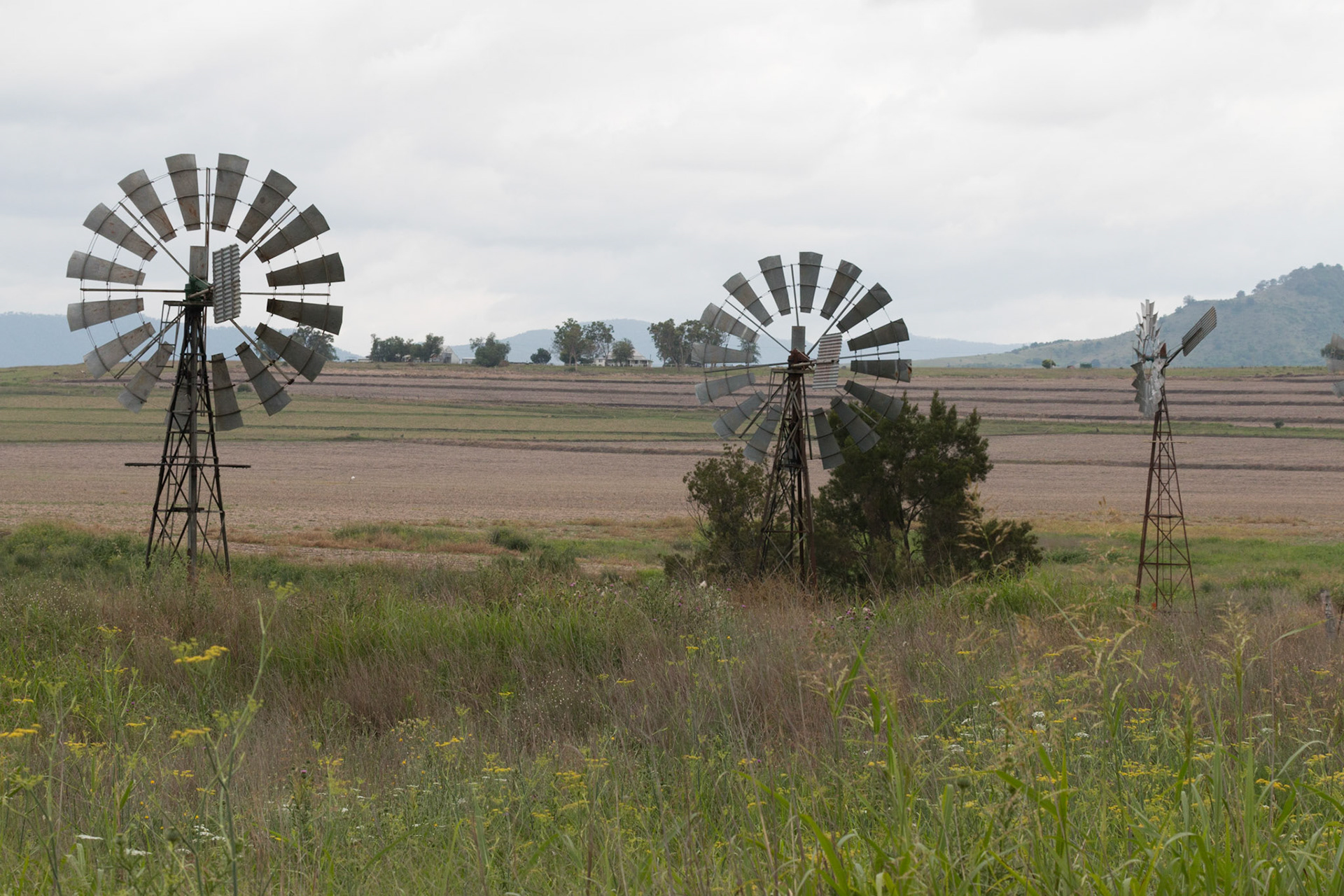 Windmills, Danderoo