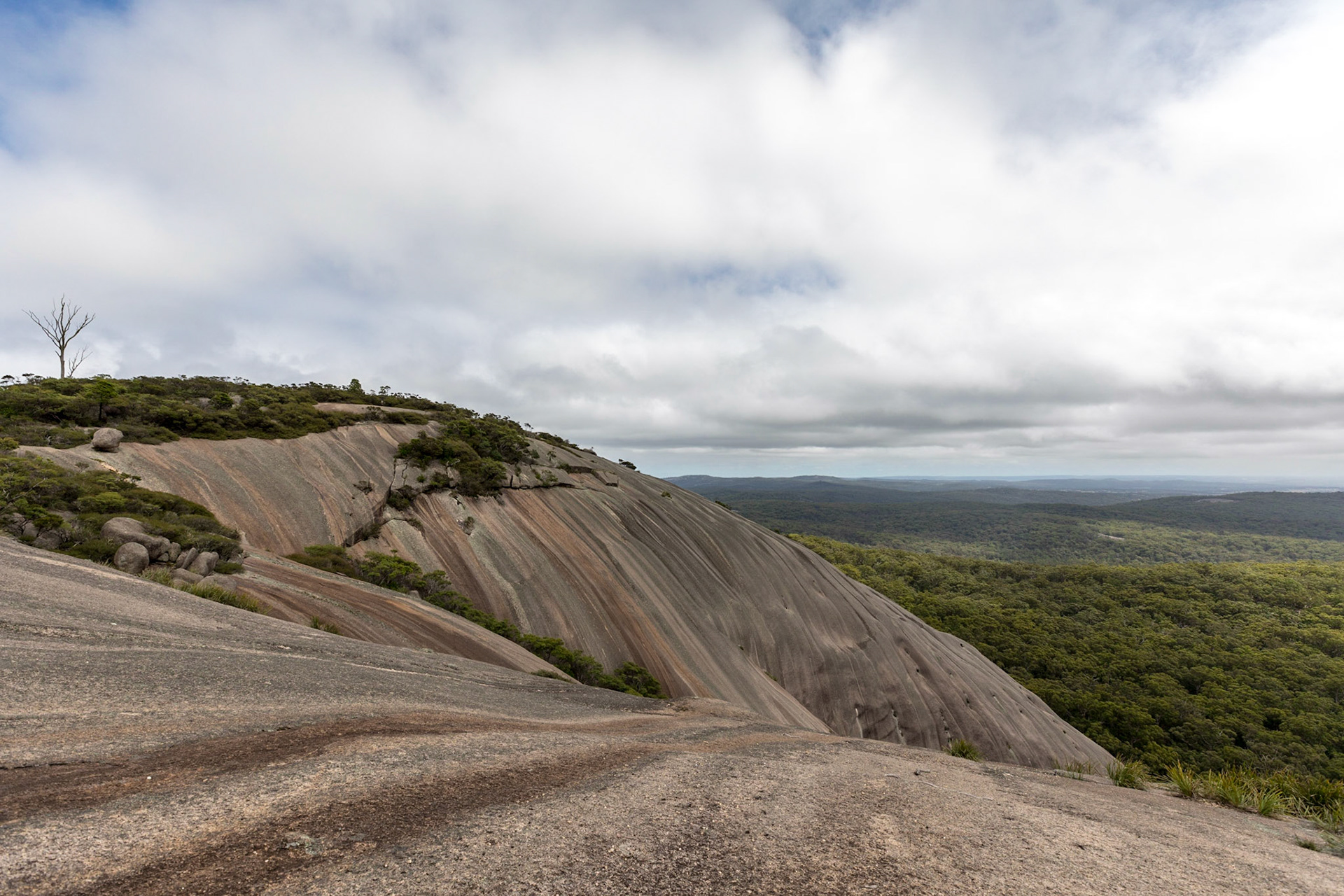 Bald Rock