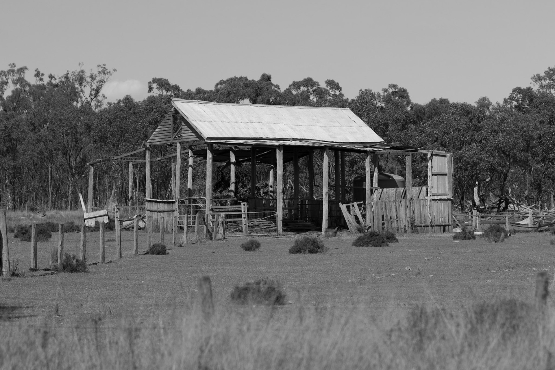 Abandoned shed, Pratten