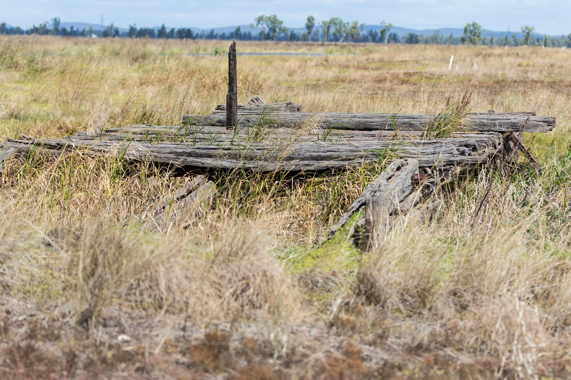 Old bridge, North Branch