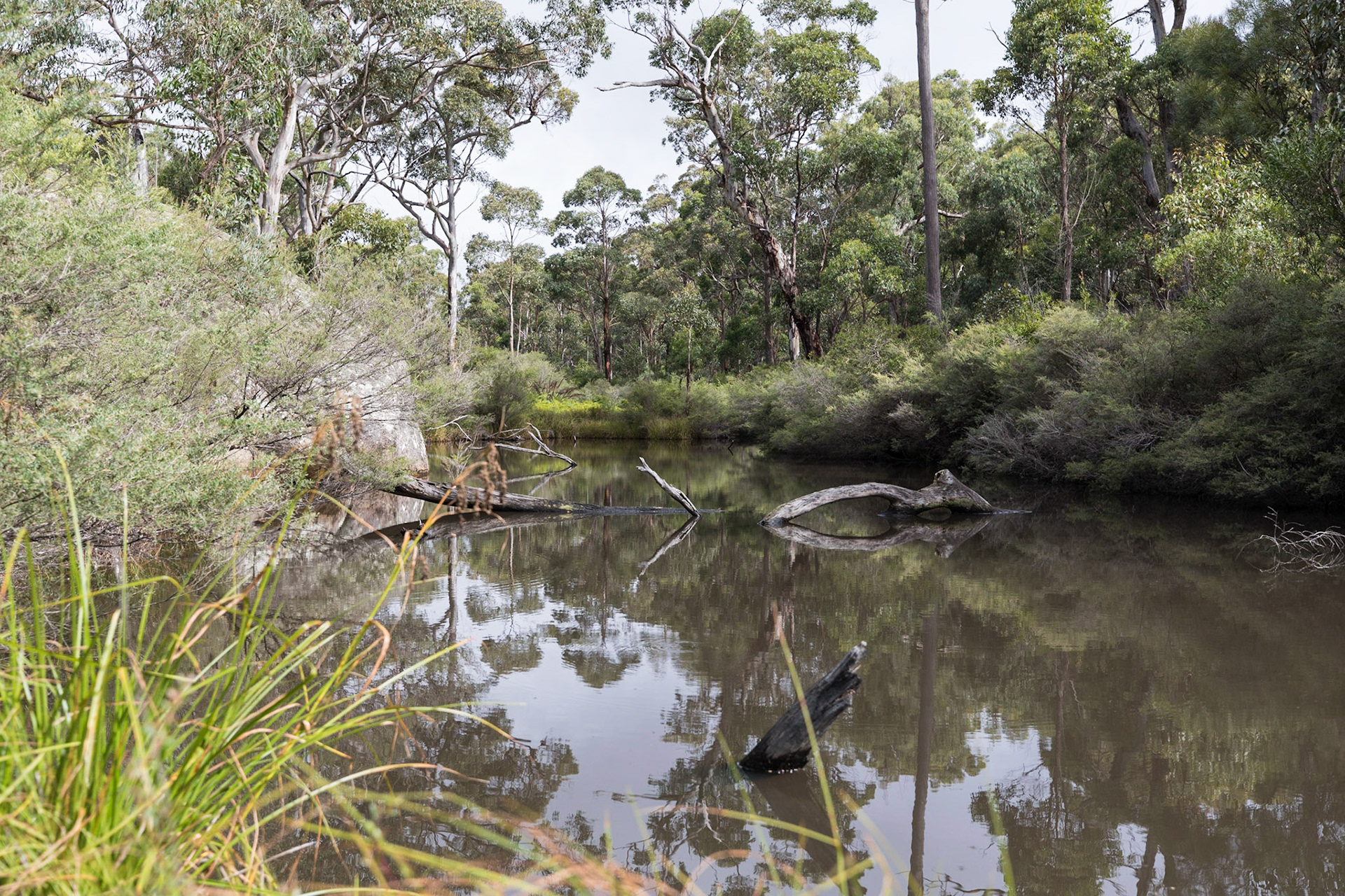 Waterhole, Racecourse Creek, Girraween National Park