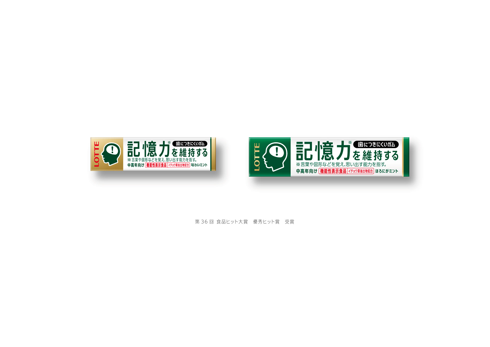 LOTTE 2017