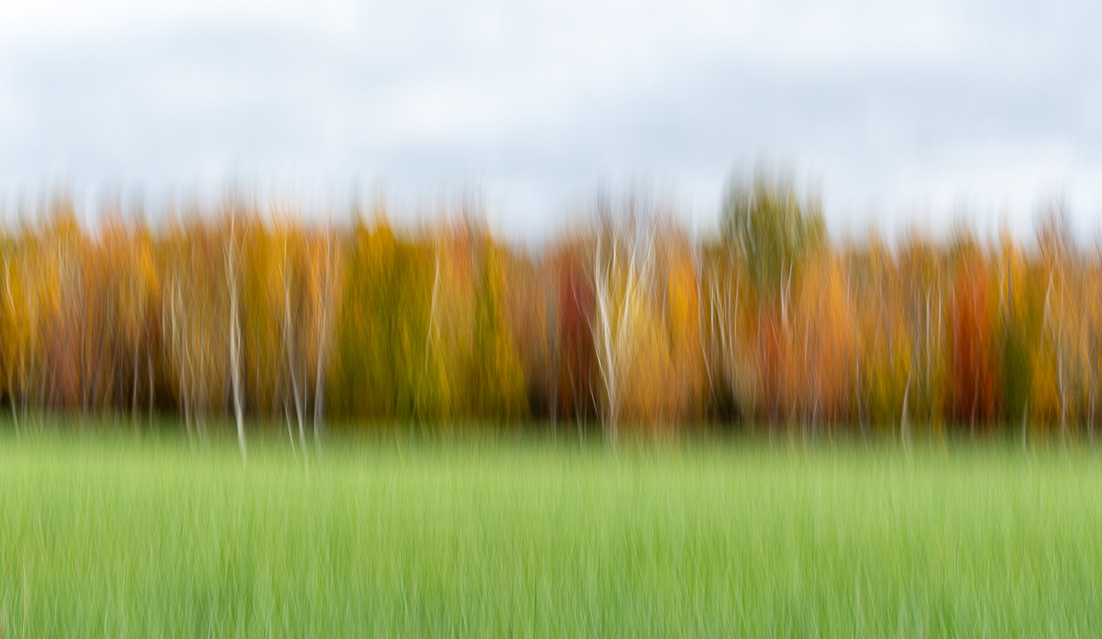 Fall Grouping