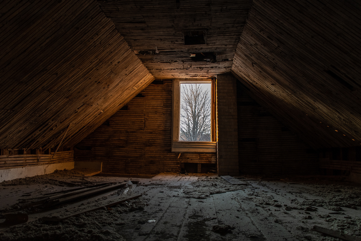 An Attic's Perspective