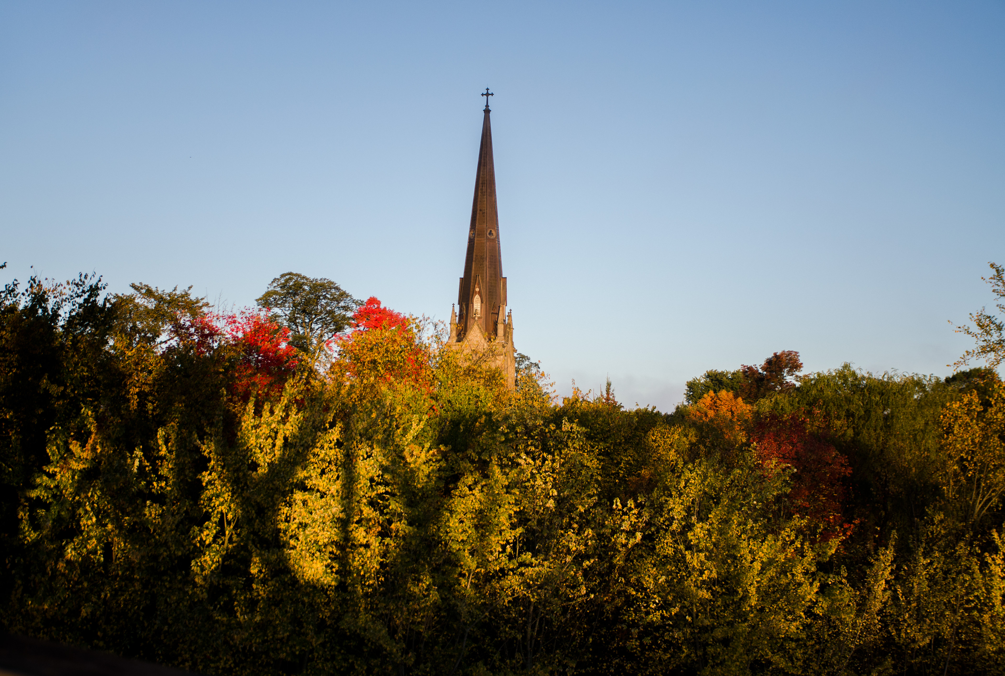 F'ton Public Library Artist Gallery 2019