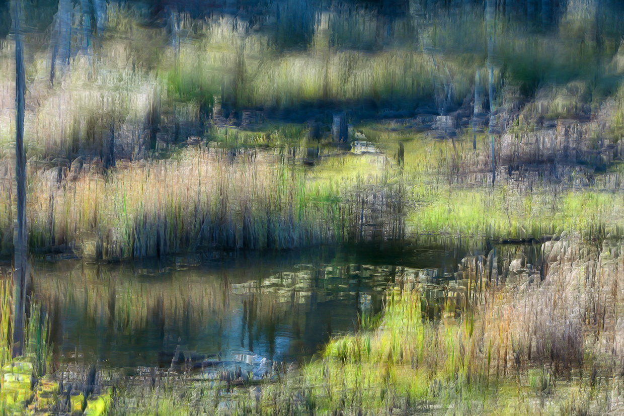 Marshes