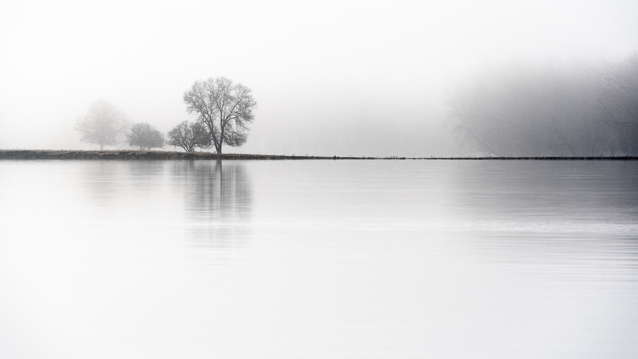 Emerging II