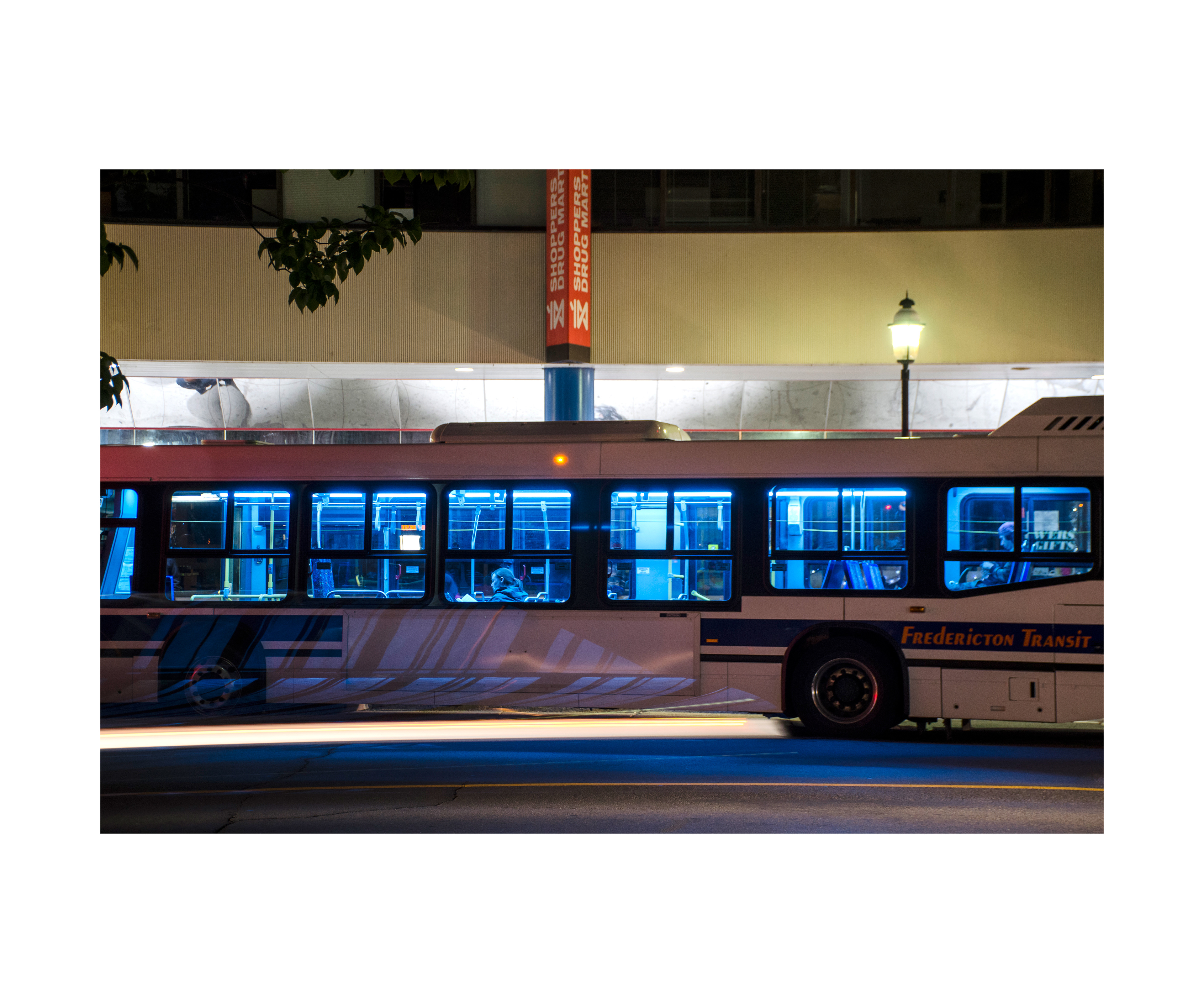 F'ton Public Library Artist Gallery 2019 