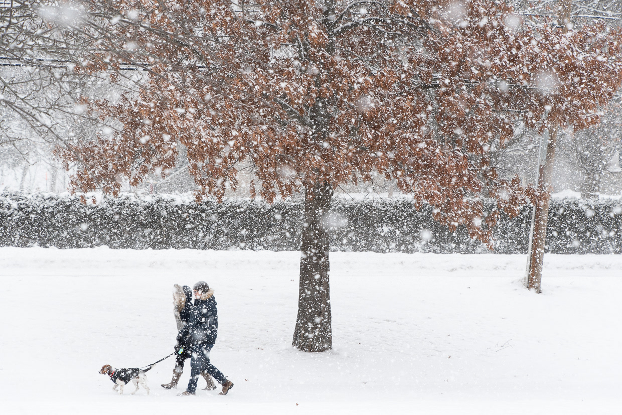 F'ton Public Library Artist Gallery 2022