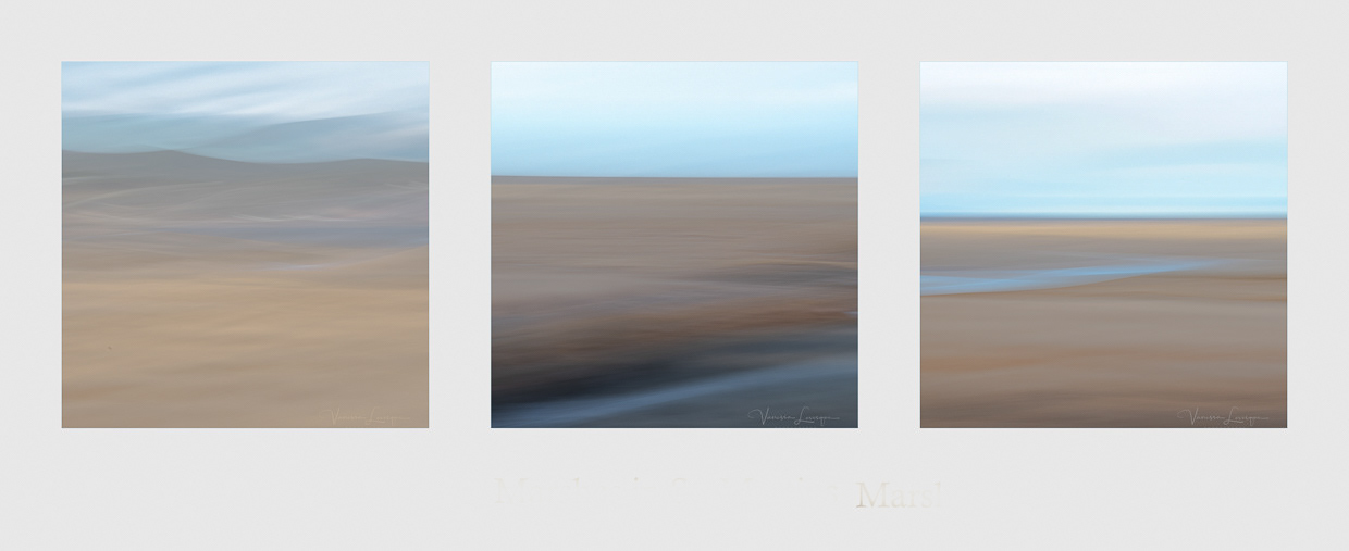 Marshes of St. Martins