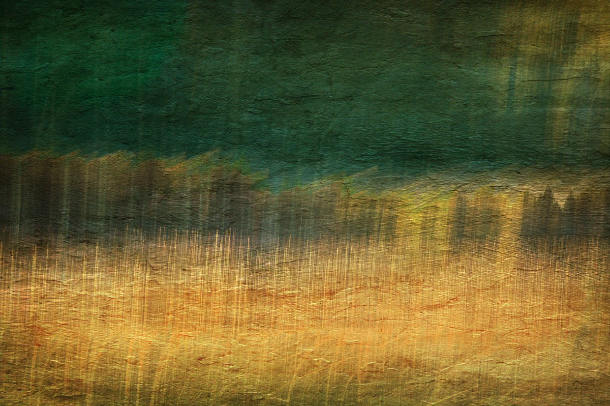 Fall Grass 2