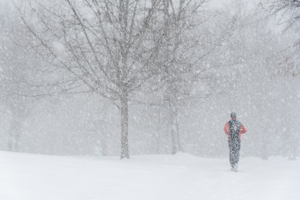 F'ton Public Library Artist Gallery 2022