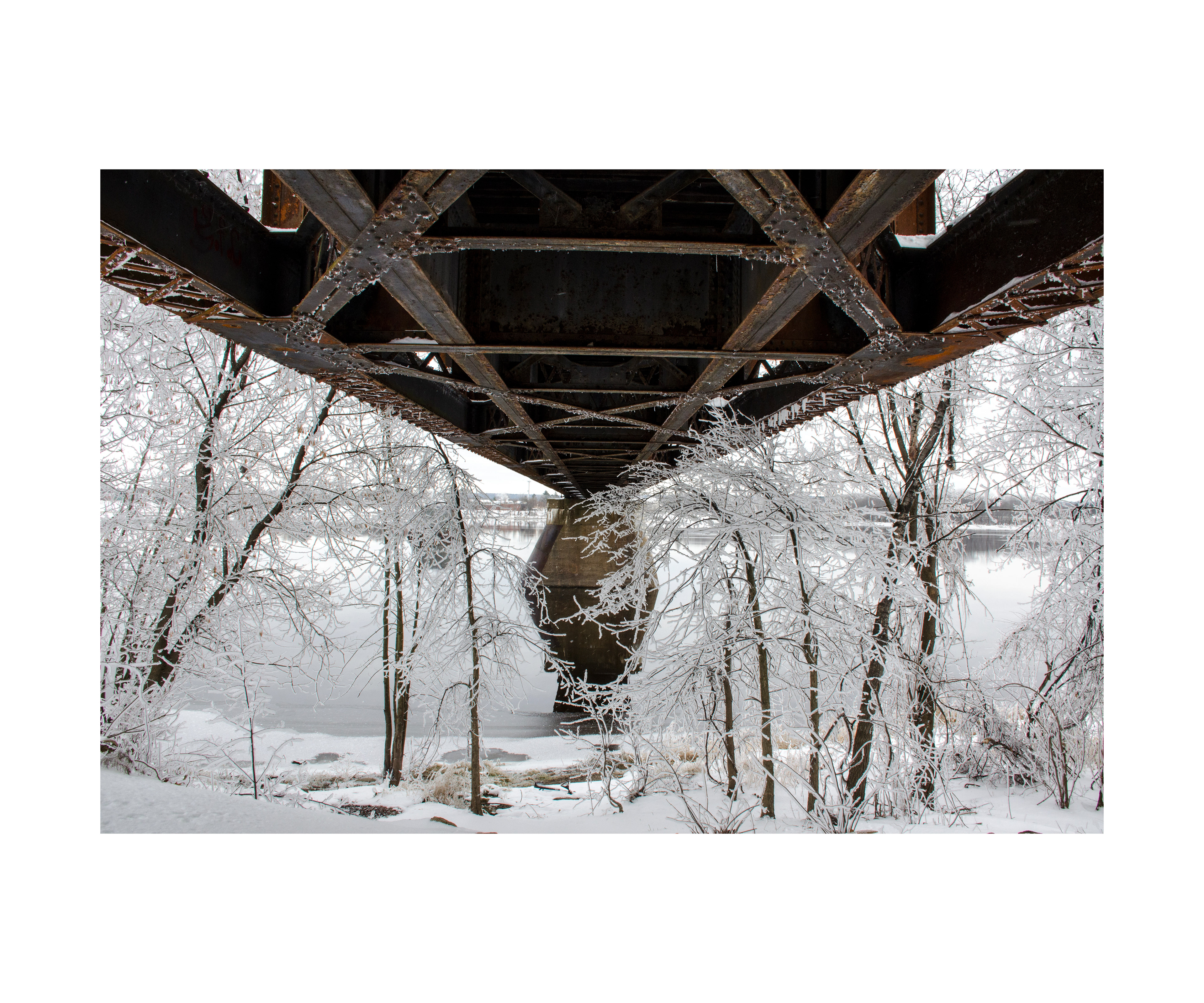 F'ton Public Library Artist Gallery 2019