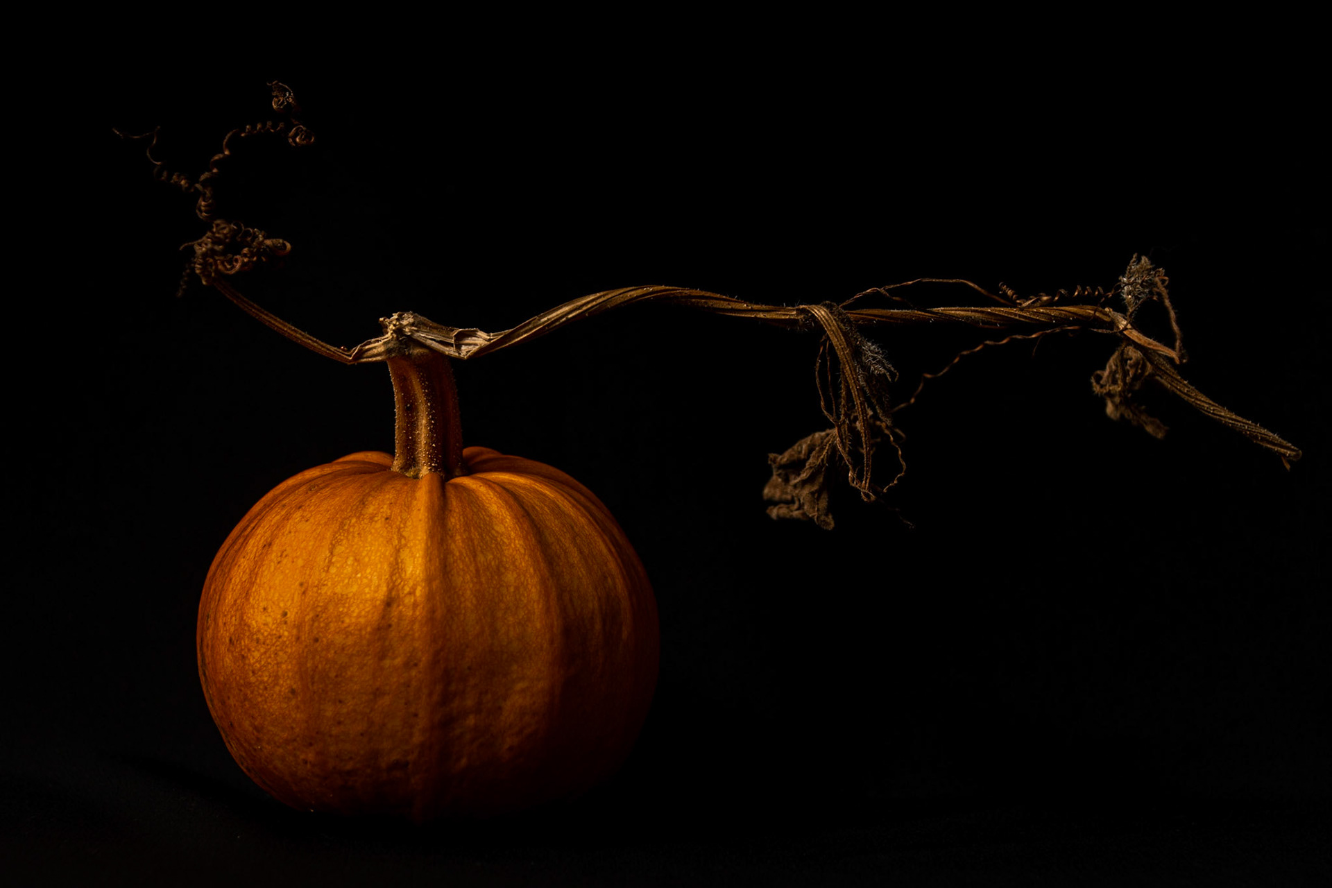 Harvest Moon