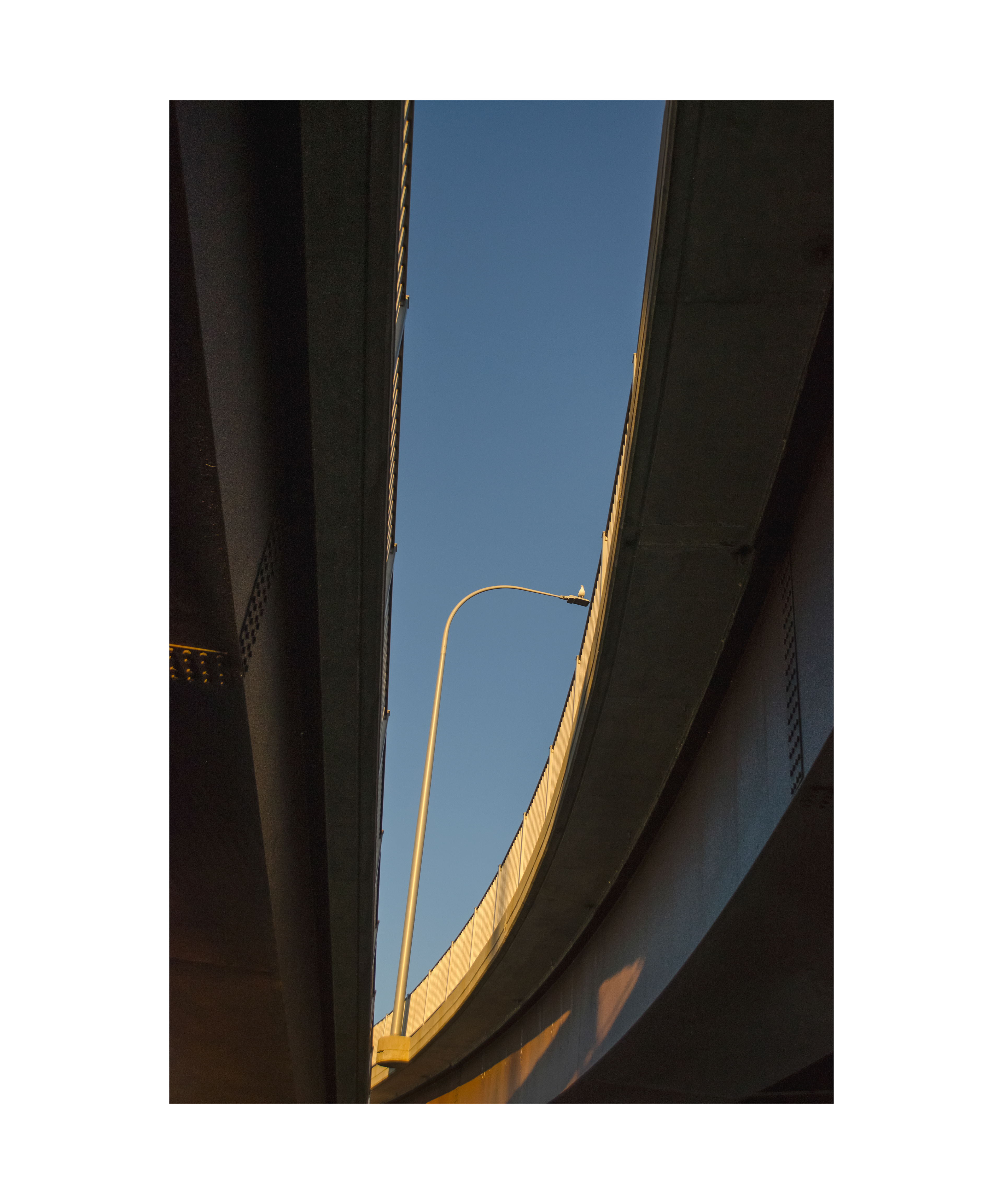 Fredericton Public Library Artist Gallery 2019