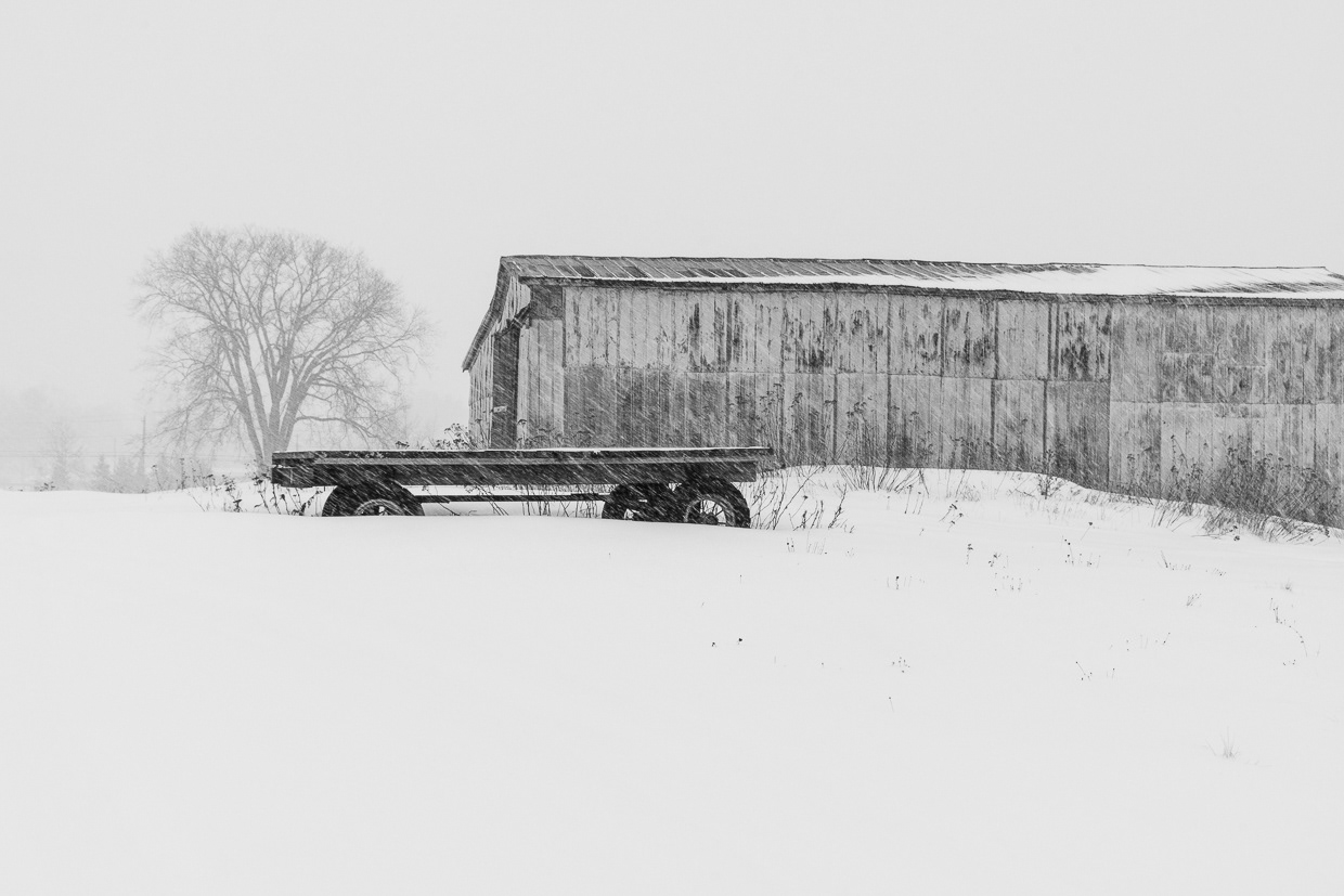Snowy Homestead